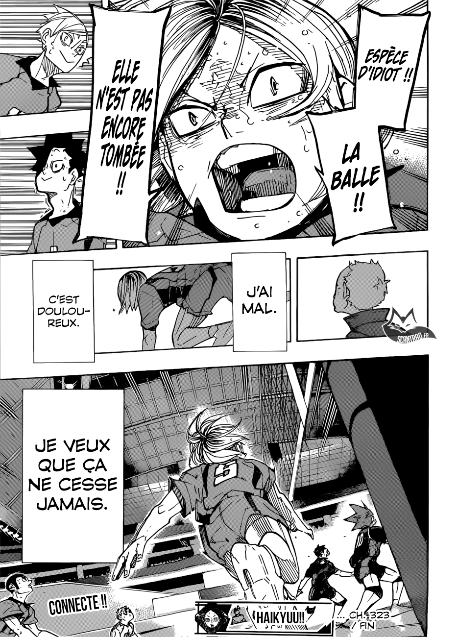 Read Haikyuu (FR) Manga Online