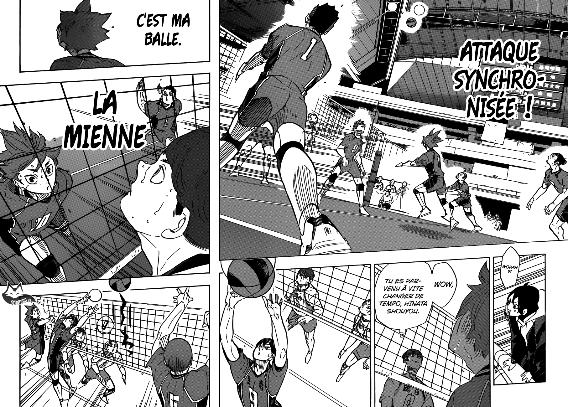 Read Haikyuu (FR) Manga Online
