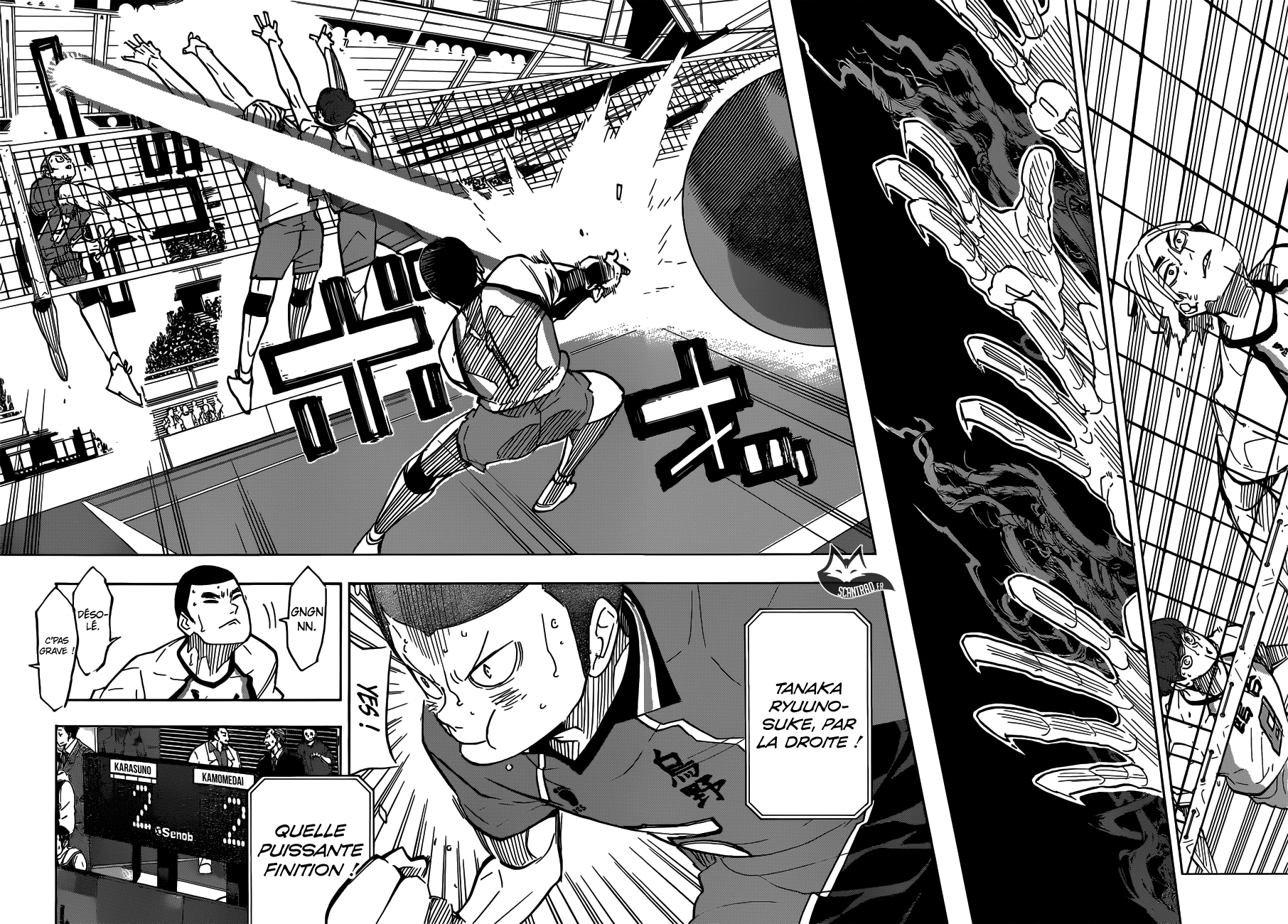 Read Haikyuu (FR) Manga Online