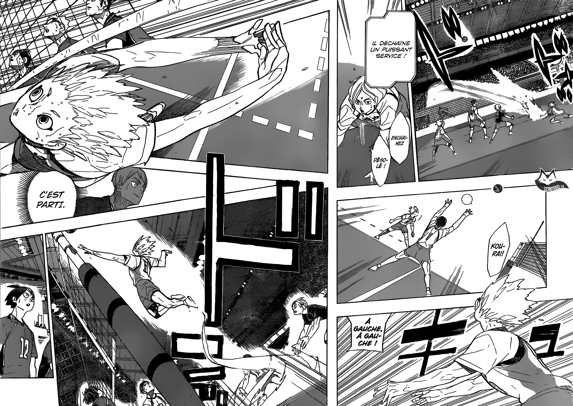 Read Haikyuu (FR) Manga Online