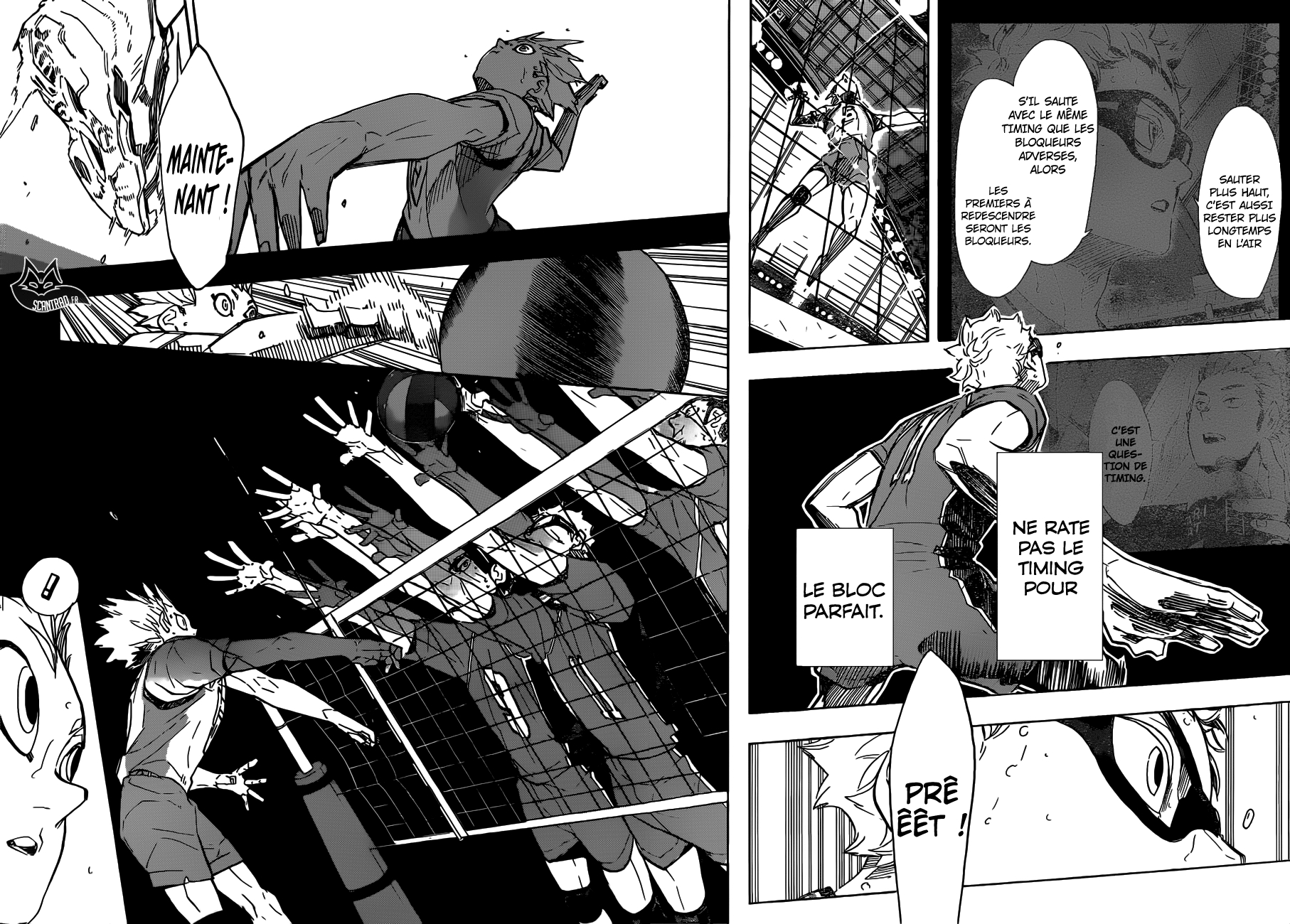 Read Haikyuu (FR) Manga Online