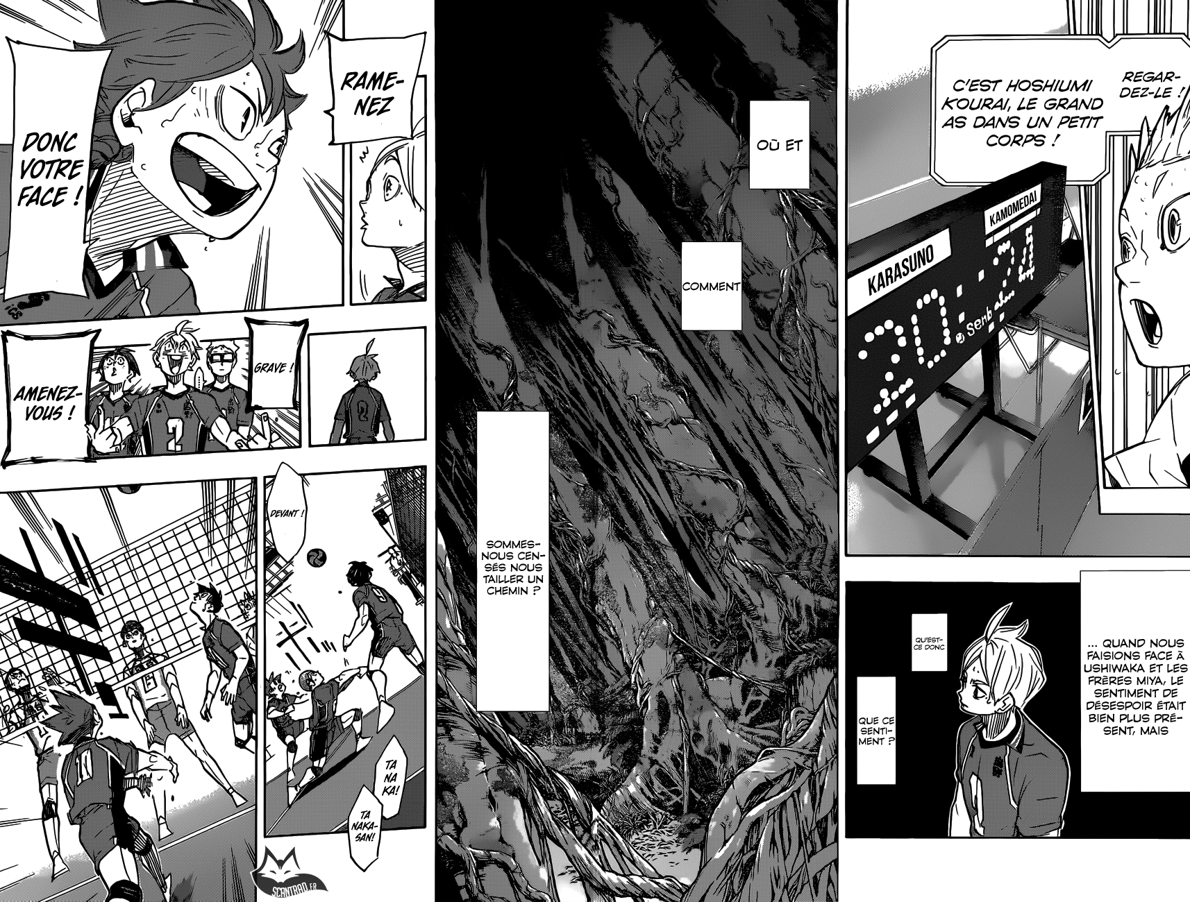 Read Haikyuu (FR) Manga Online