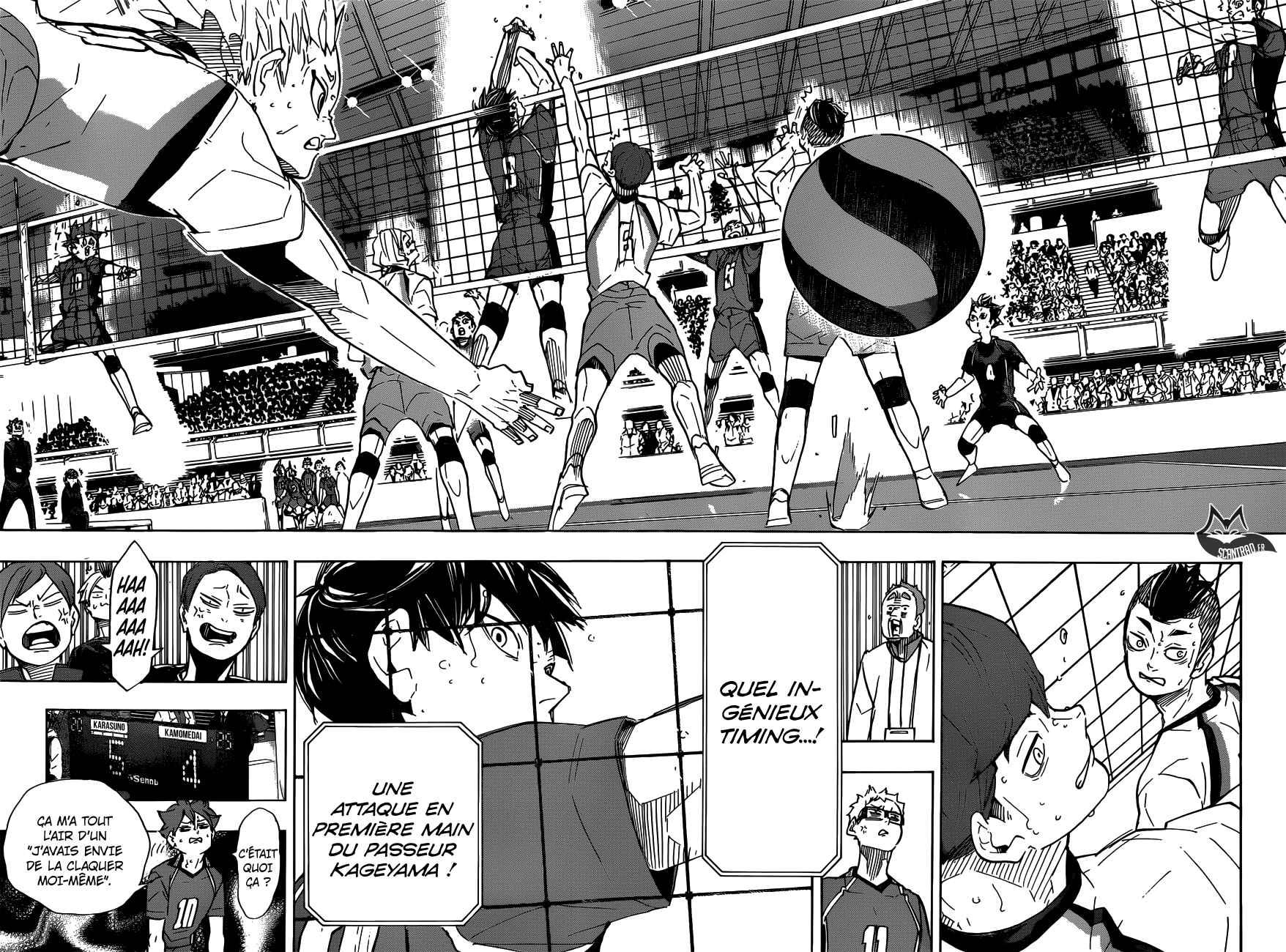 Read Haikyuu (FR) Manga Online