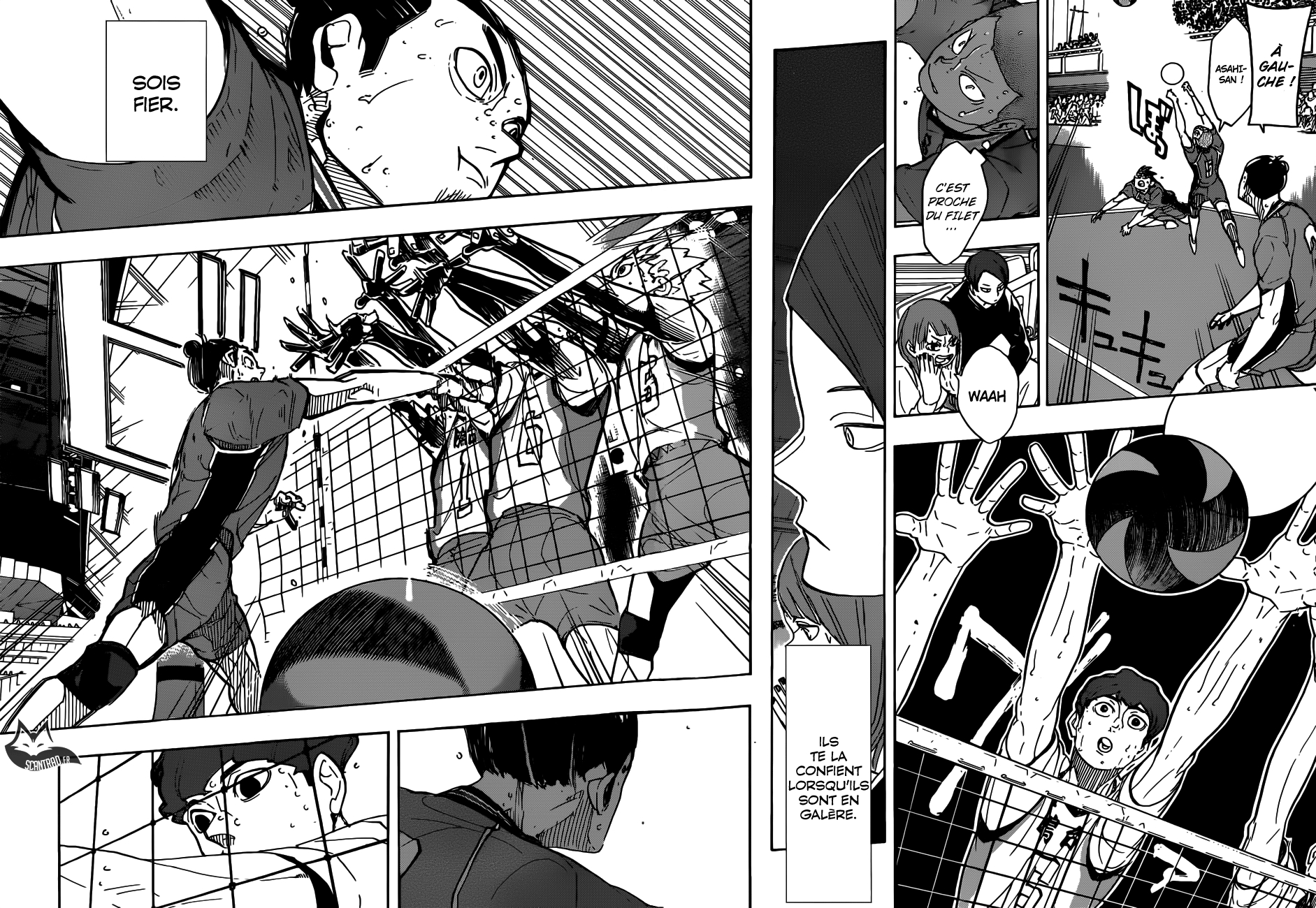 Read Haikyuu (FR) Manga Online