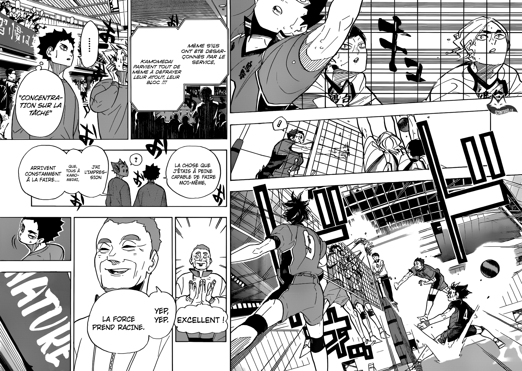 Read Haikyuu (FR) Manga Online