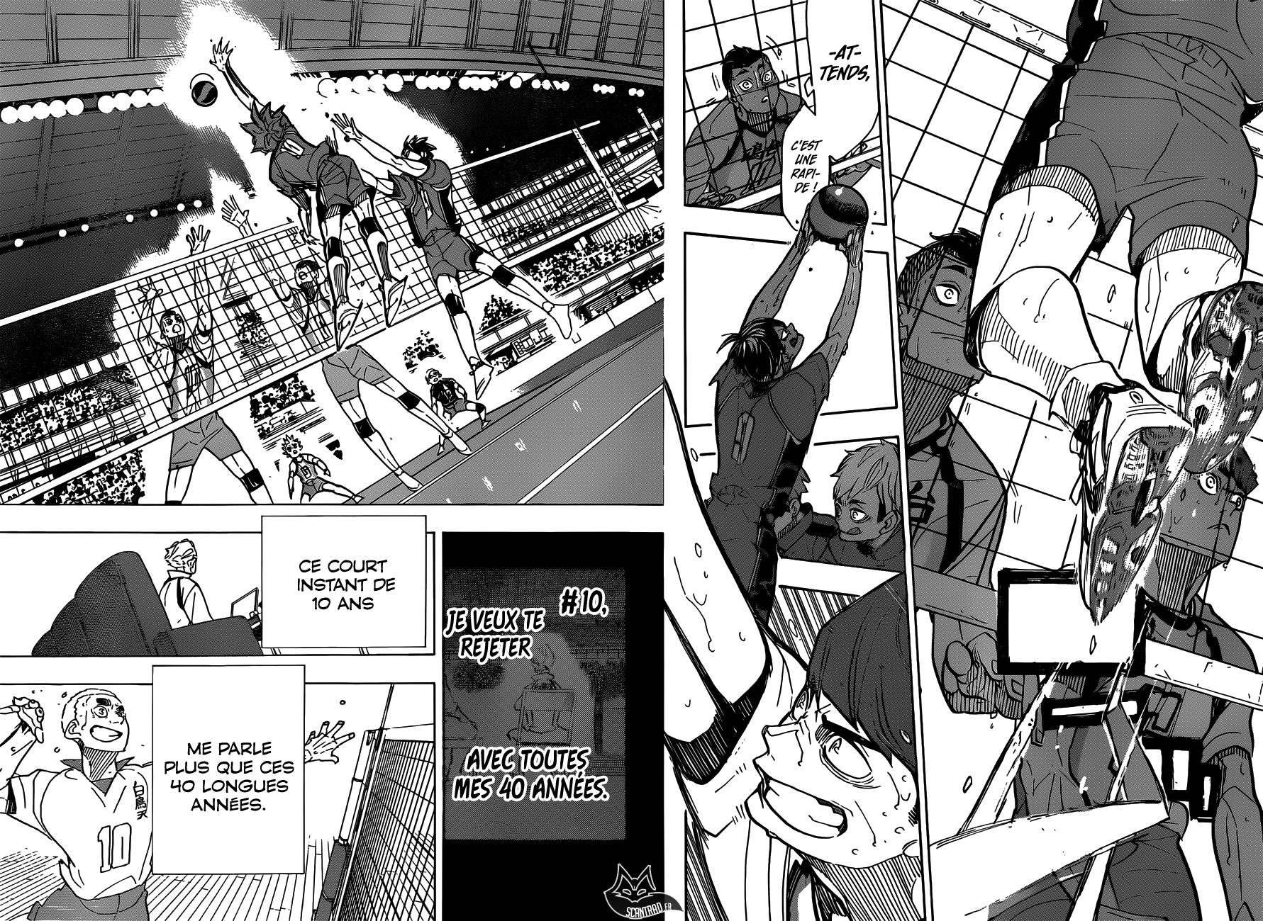 Read Haikyuu (FR) Manga Online