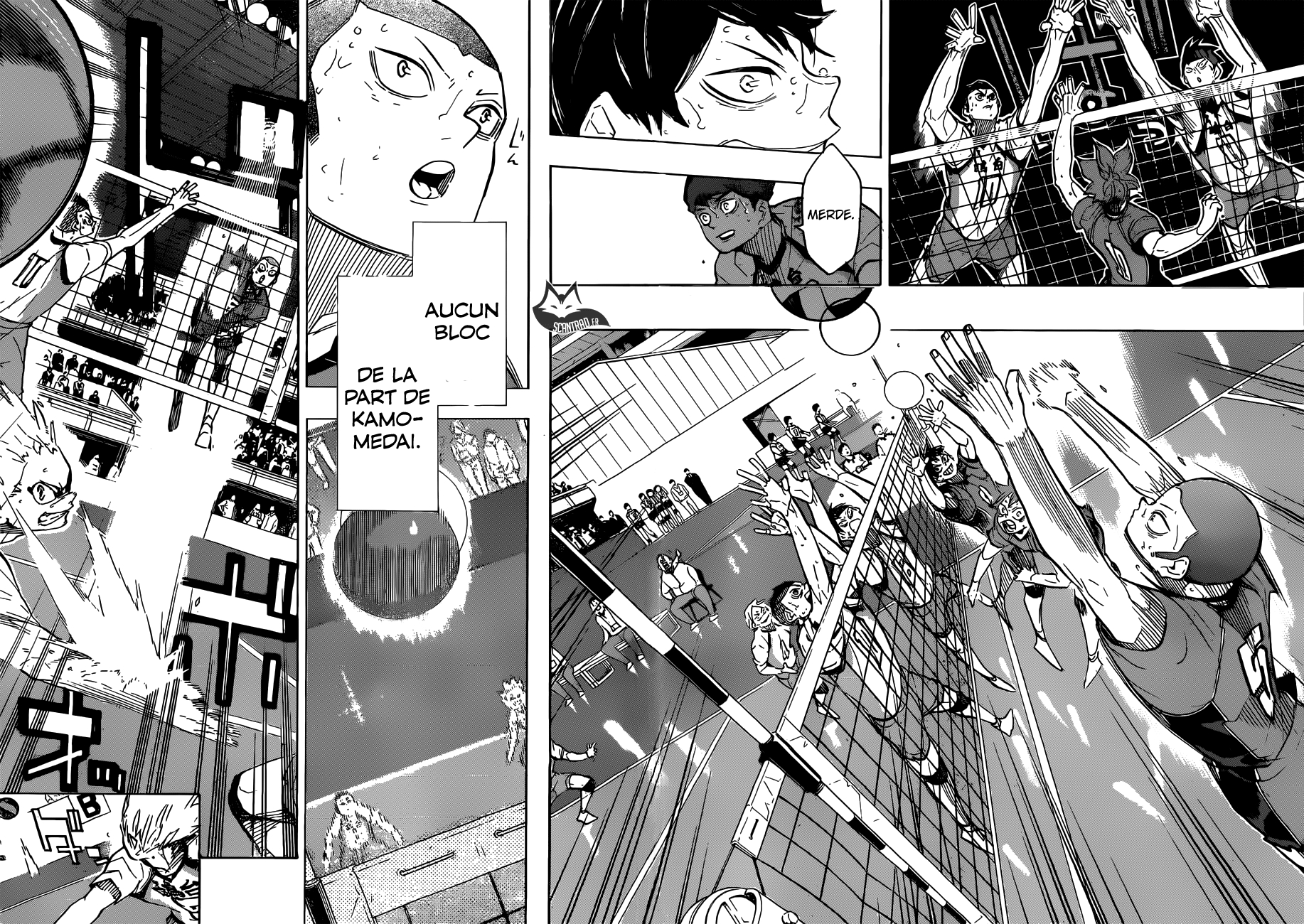 Read Haikyuu (FR) Manga Online