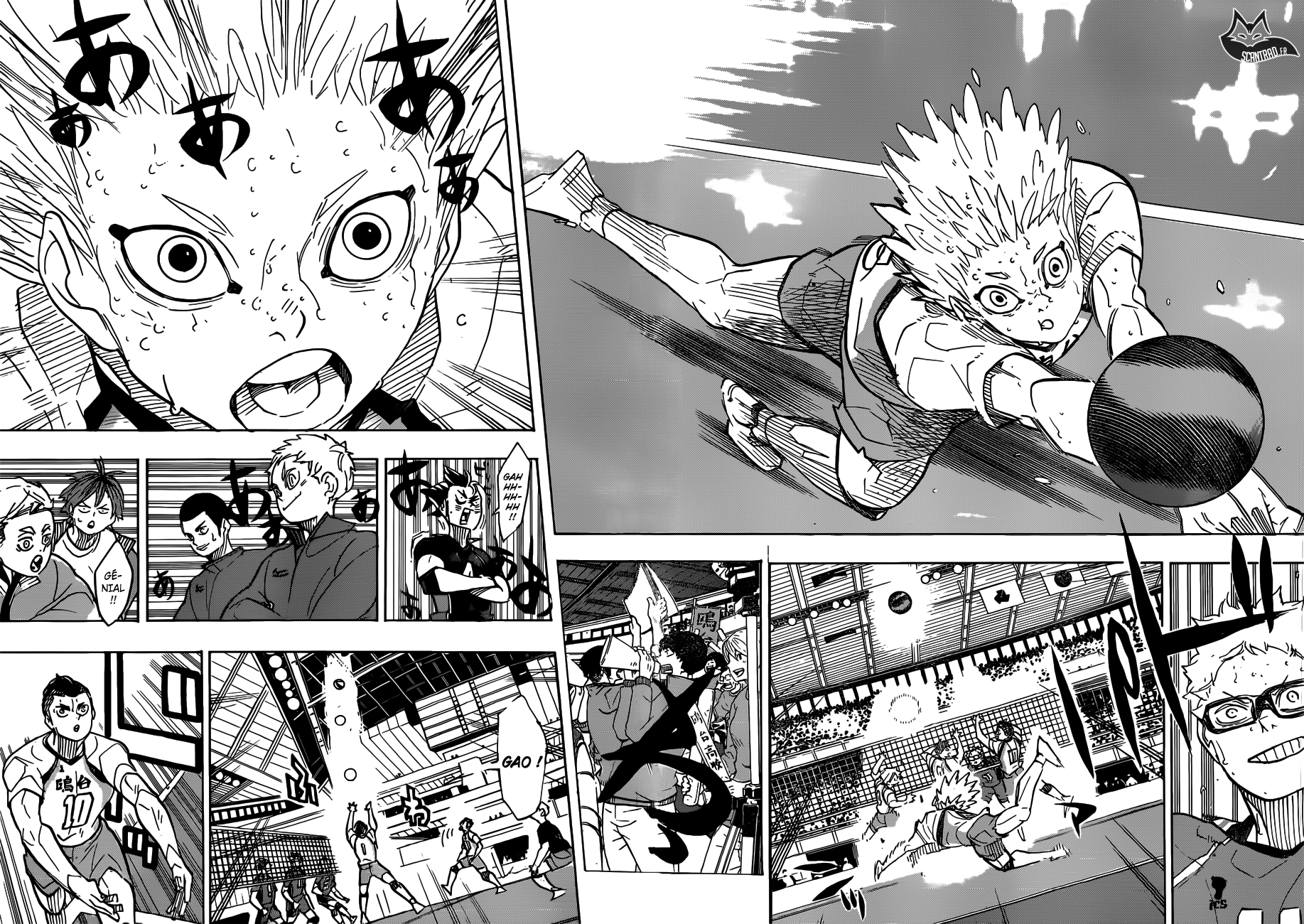 Read Haikyuu (FR) Manga Online