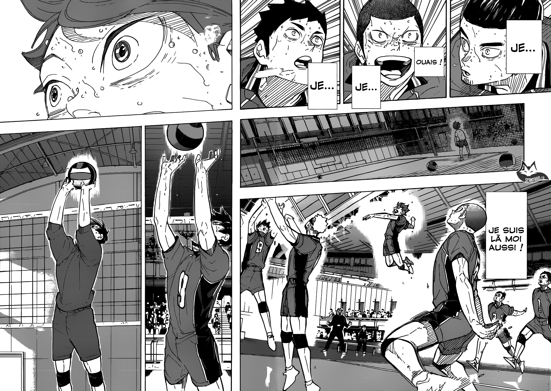 Read Haikyuu (FR) Manga Online