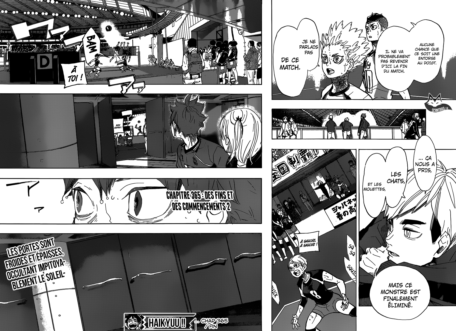 Read Haikyuu (FR) Manga Online