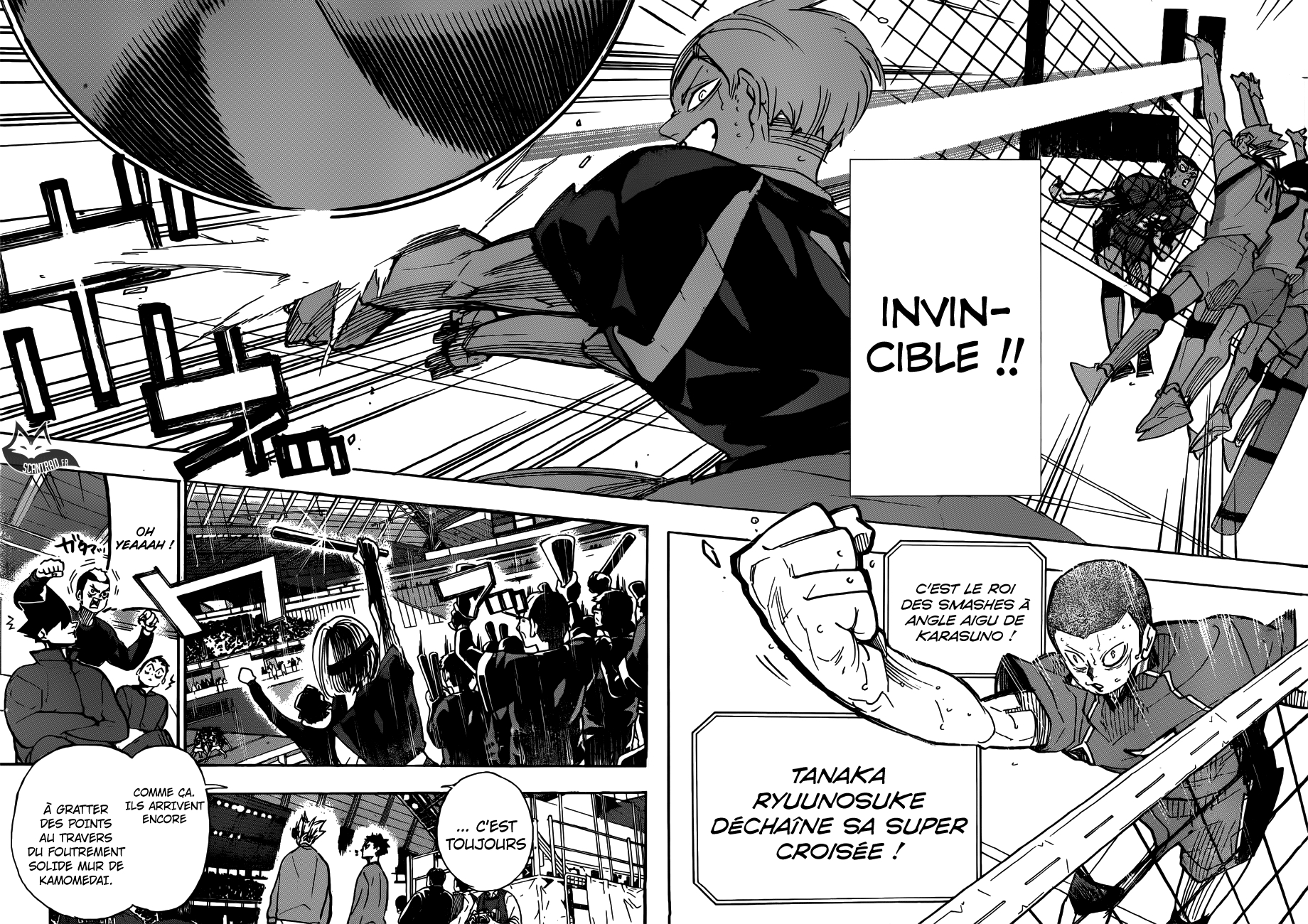 Read Haikyuu (FR) Manga Online