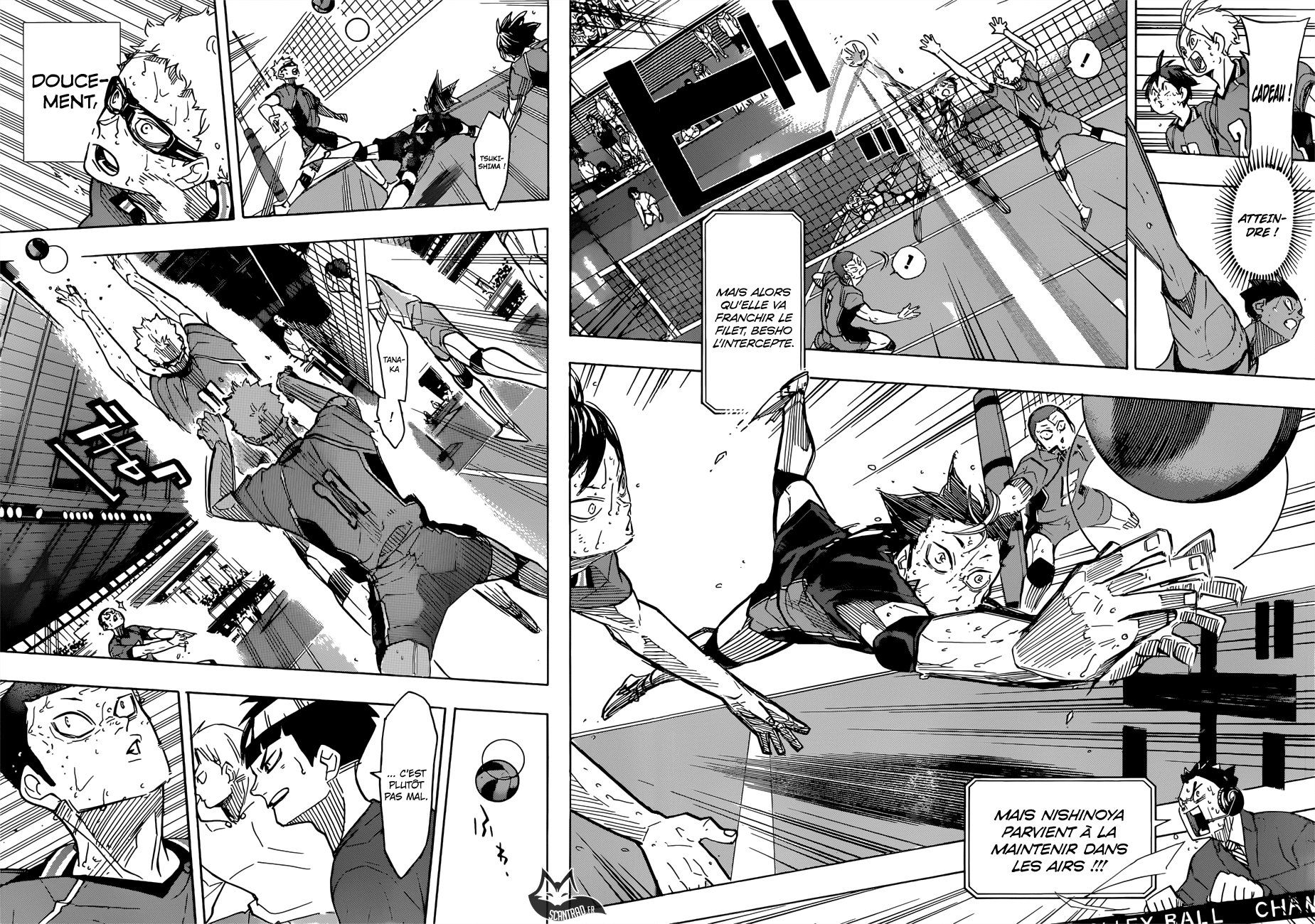 Read Haikyuu (FR) Manga Online