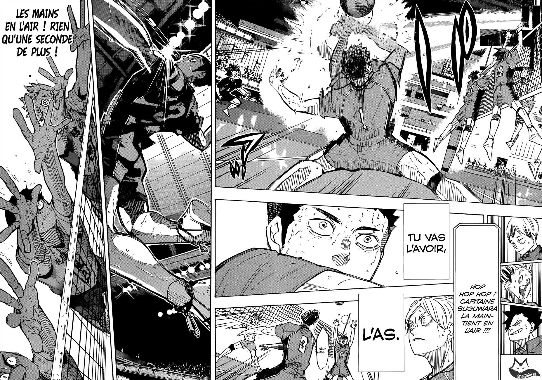 Read Haikyuu (FR) Manga Online