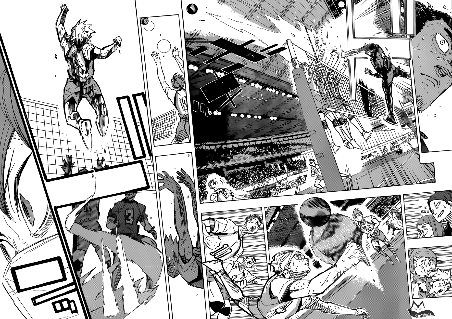 Read Haikyuu (FR) Manga Online