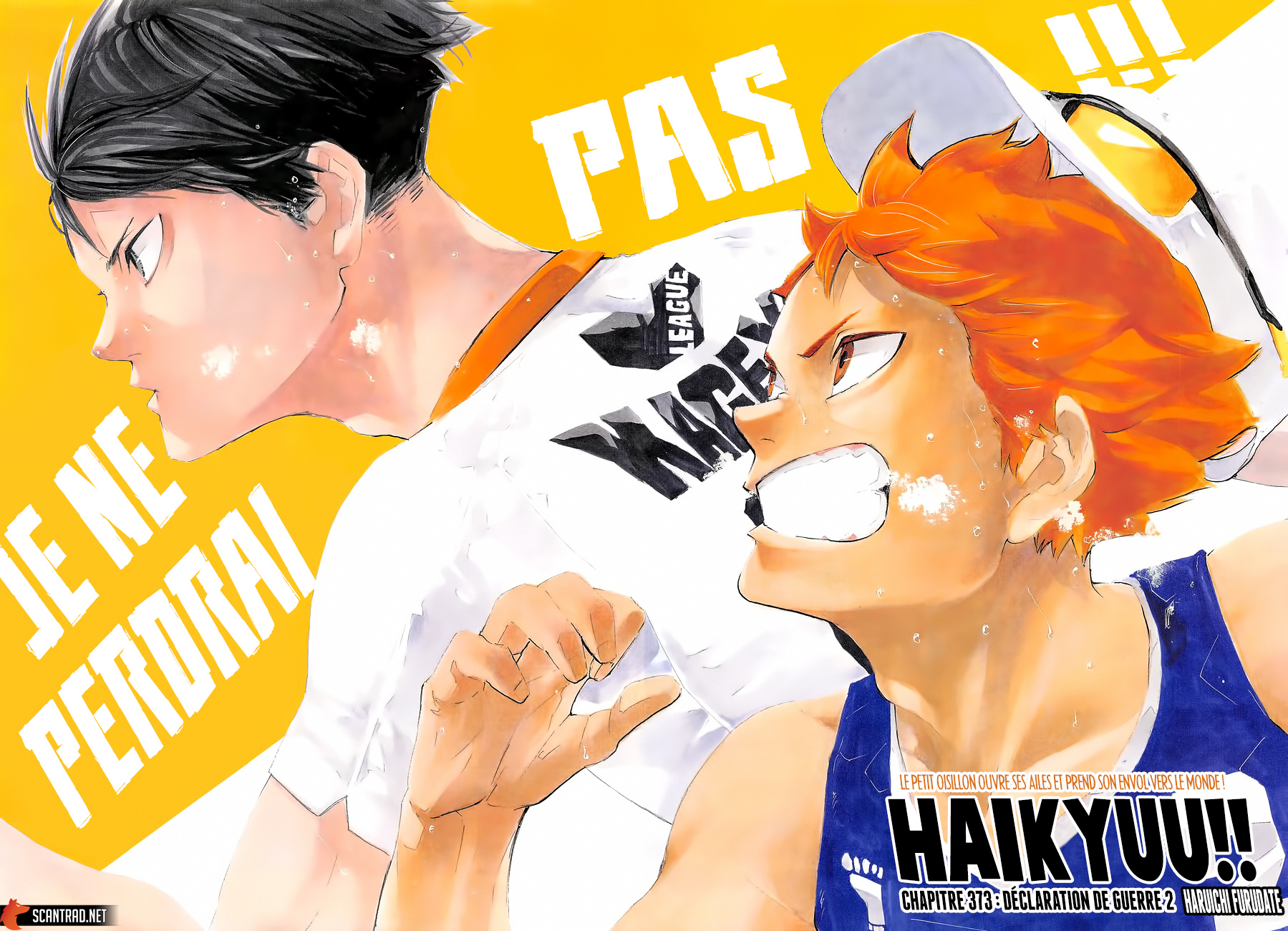 Read Haikyuu (FR) Manga Online