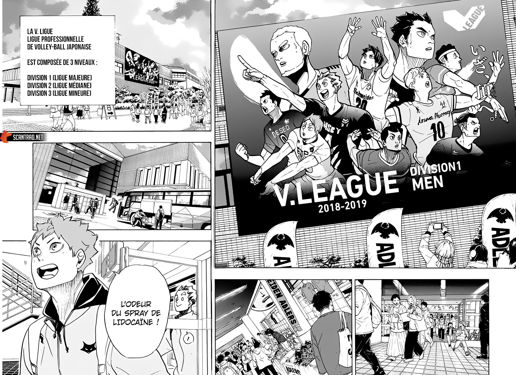 Read Haikyuu (FR) Manga Online