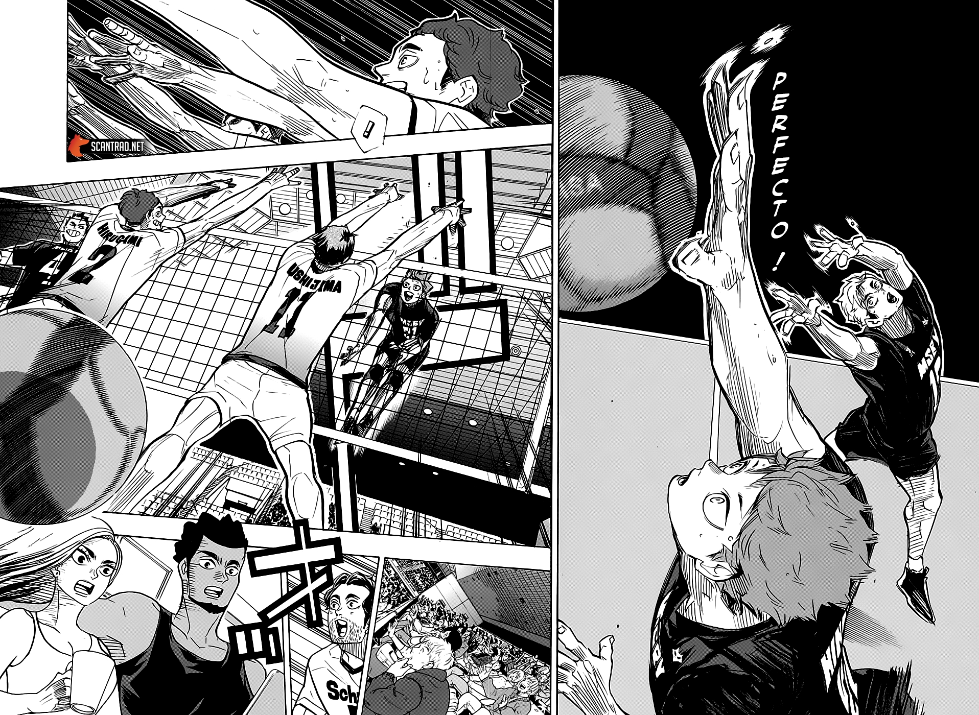 Read Haikyuu (FR) Manga Online