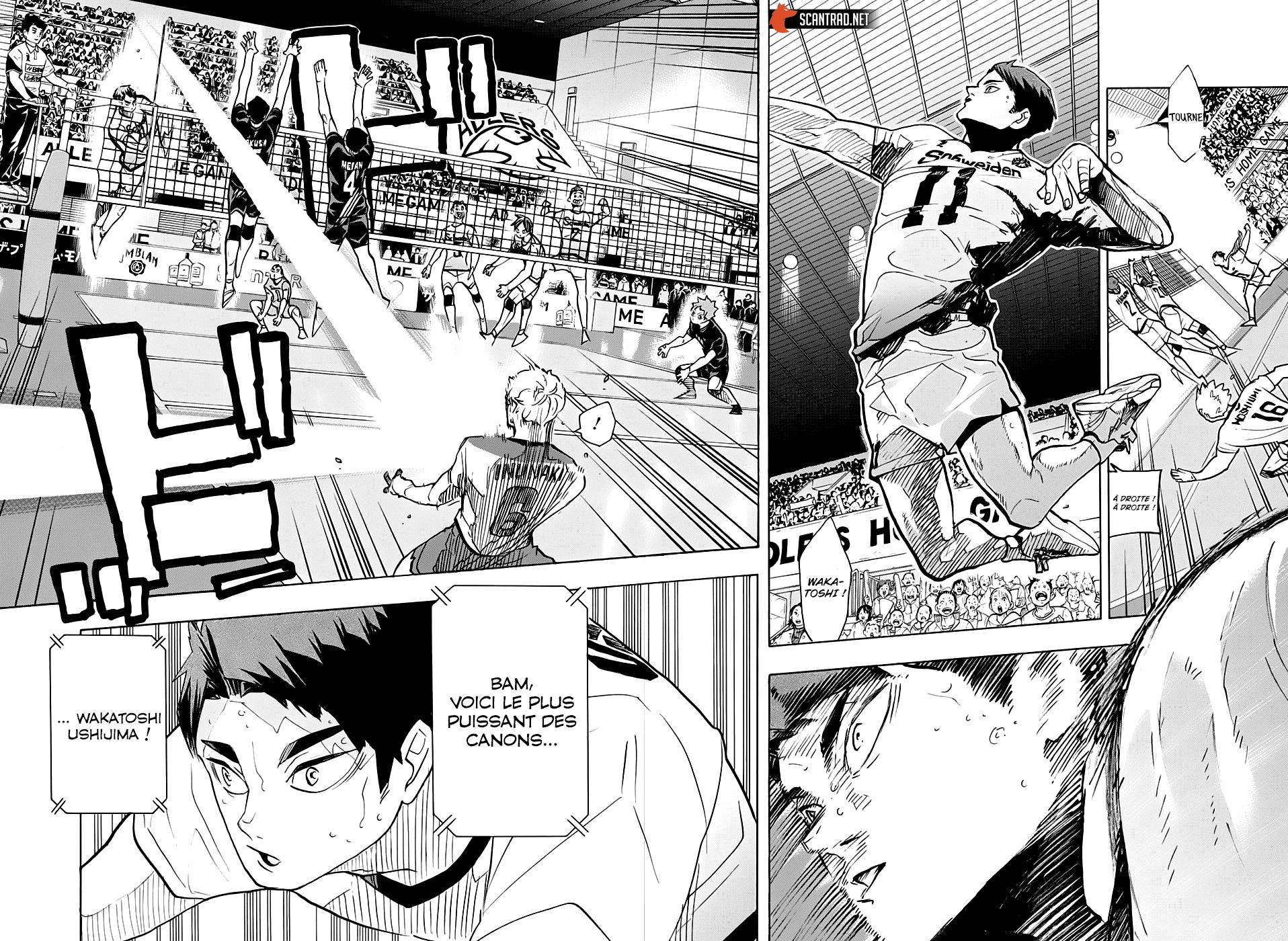 Read Haikyuu (FR) Manga Online