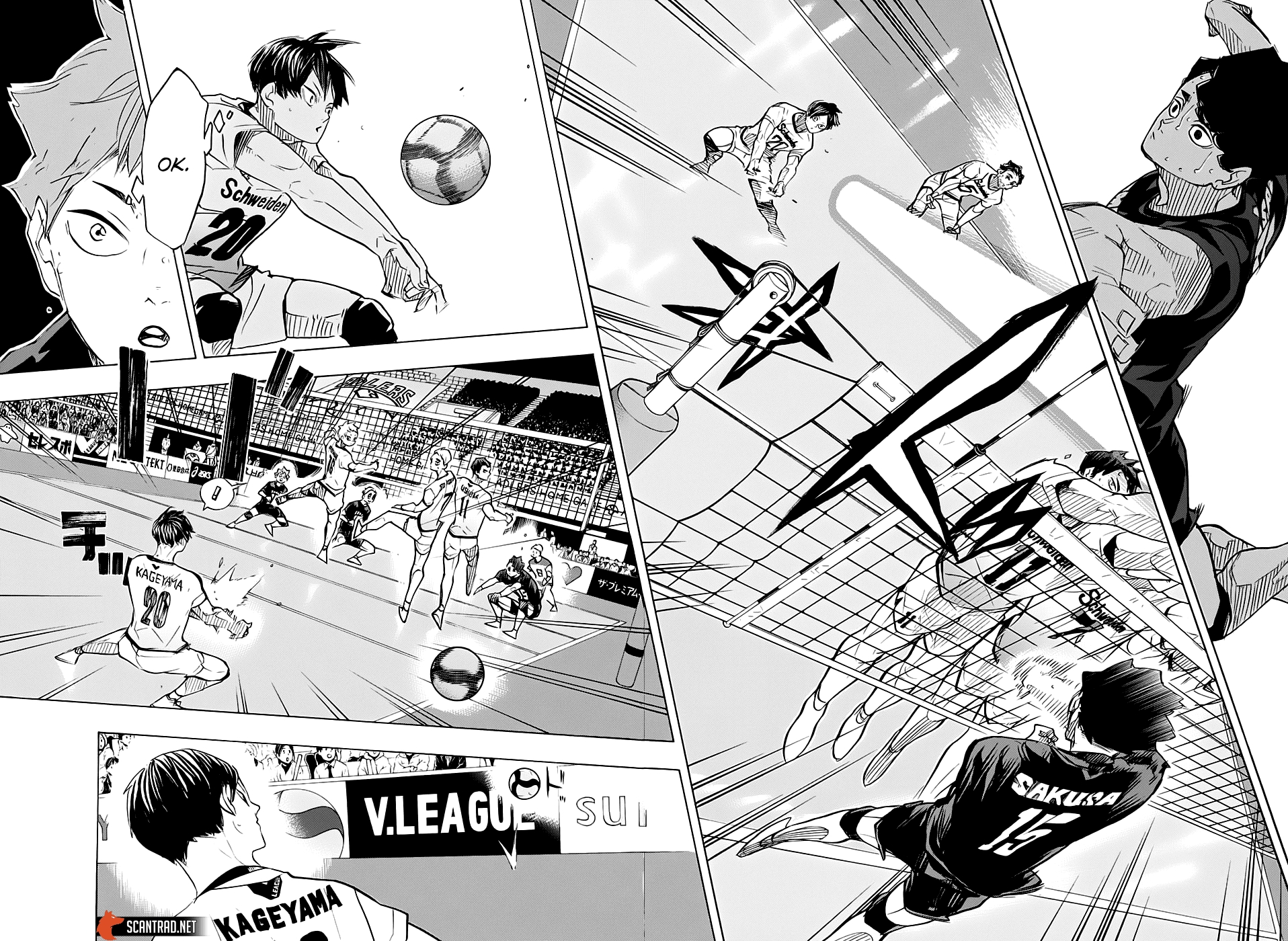 Read Haikyuu (FR) Manga Online