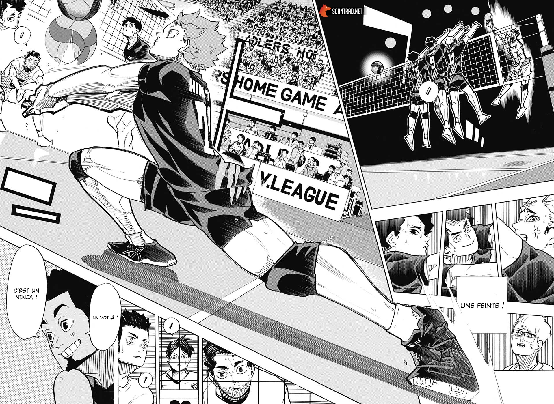 Read Haikyuu (FR) Manga Online