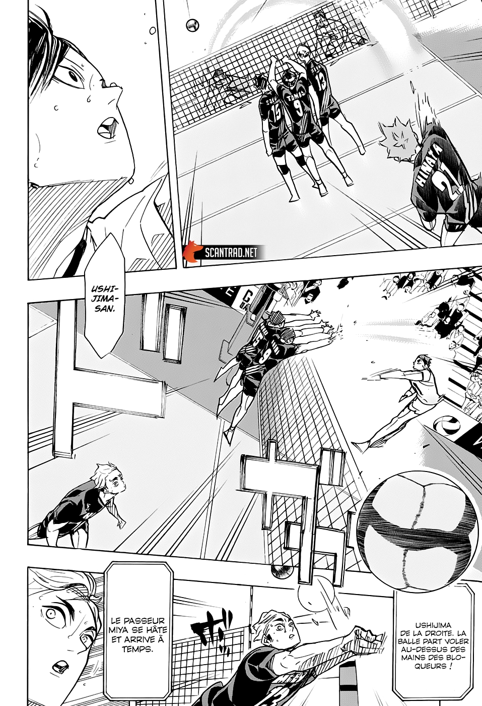 Read Haikyuu (FR) Manga Online