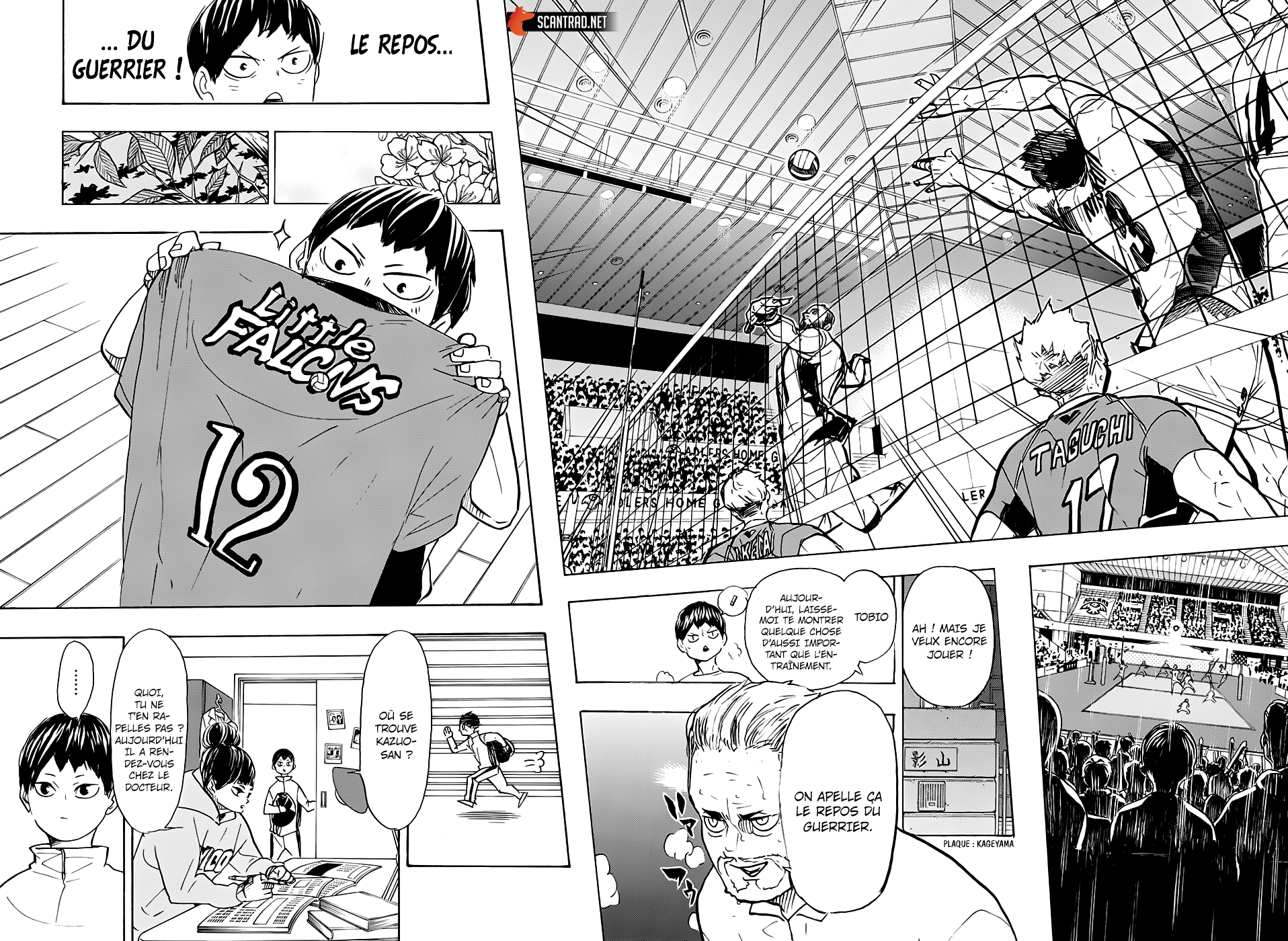 Read Haikyuu (FR) Manga Online