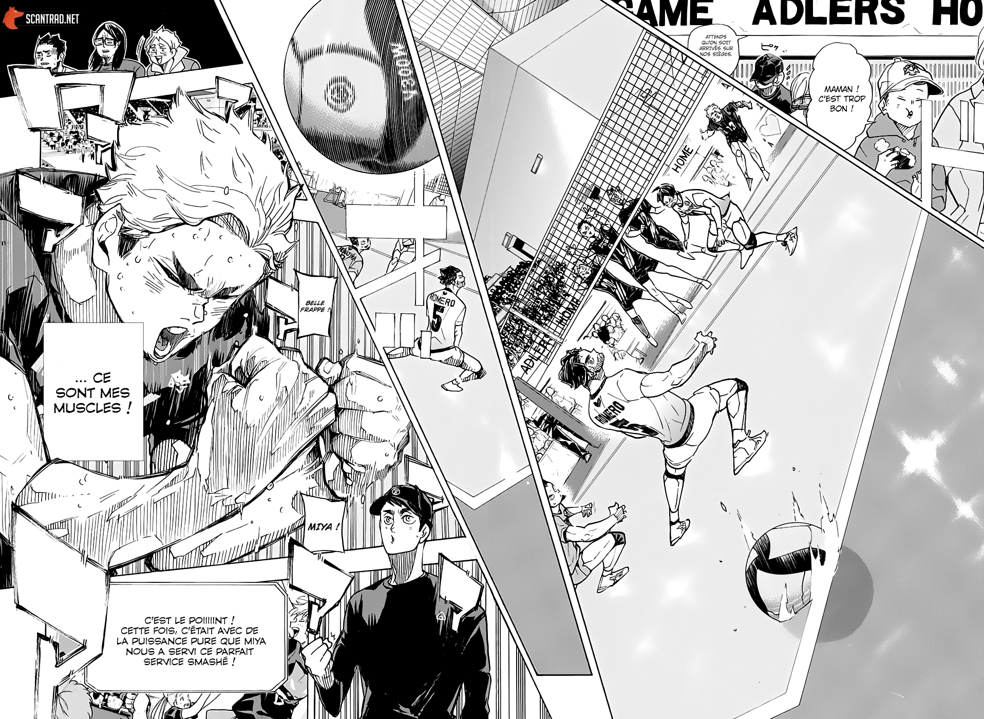Read Haikyuu (FR) Manga Online