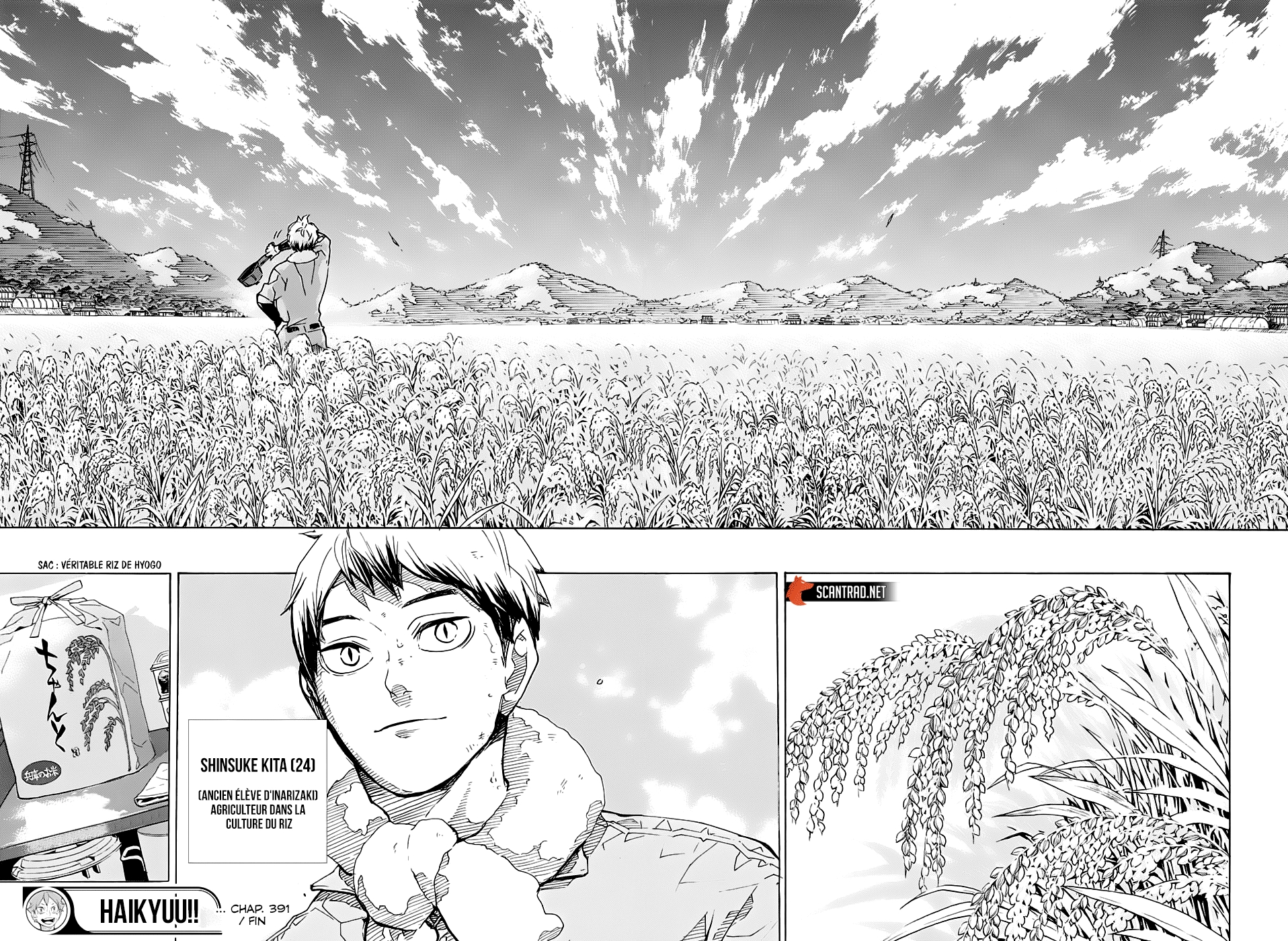 Read Haikyuu (FR) Manga Online