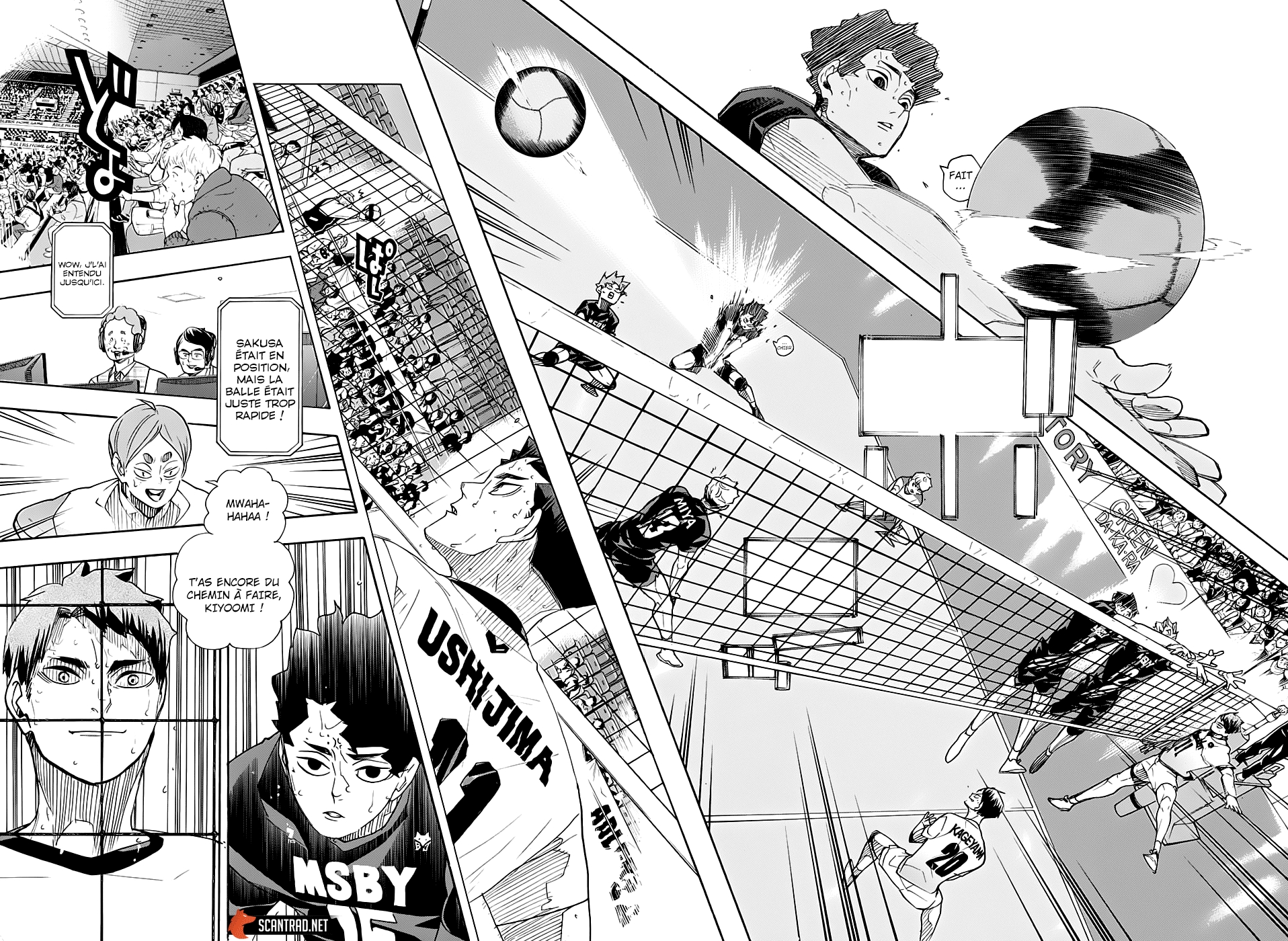 Read Haikyuu (FR) Manga Online
