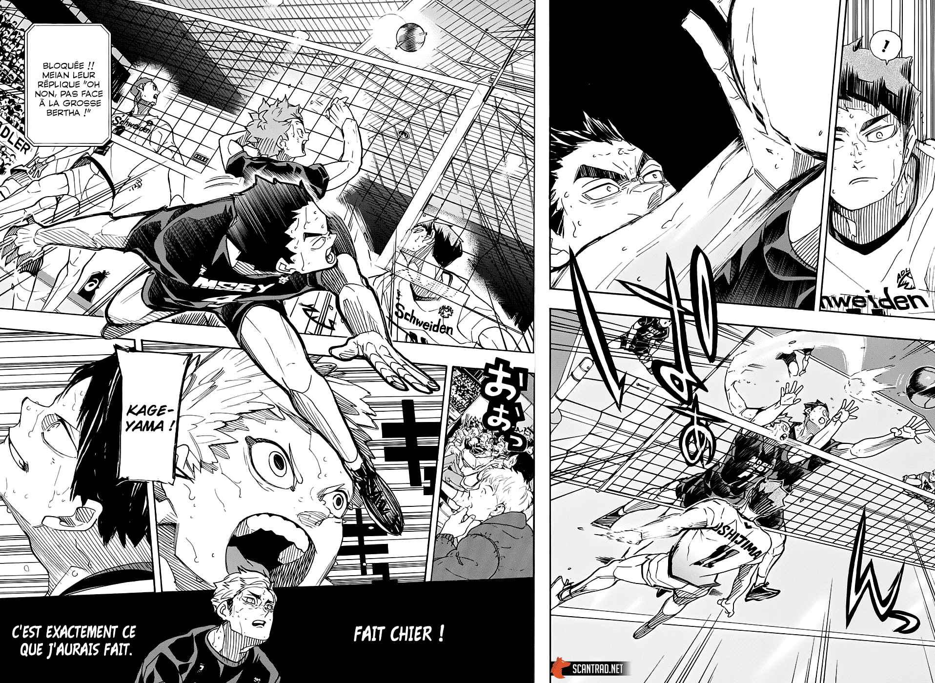 Read Haikyuu (FR) Manga Online