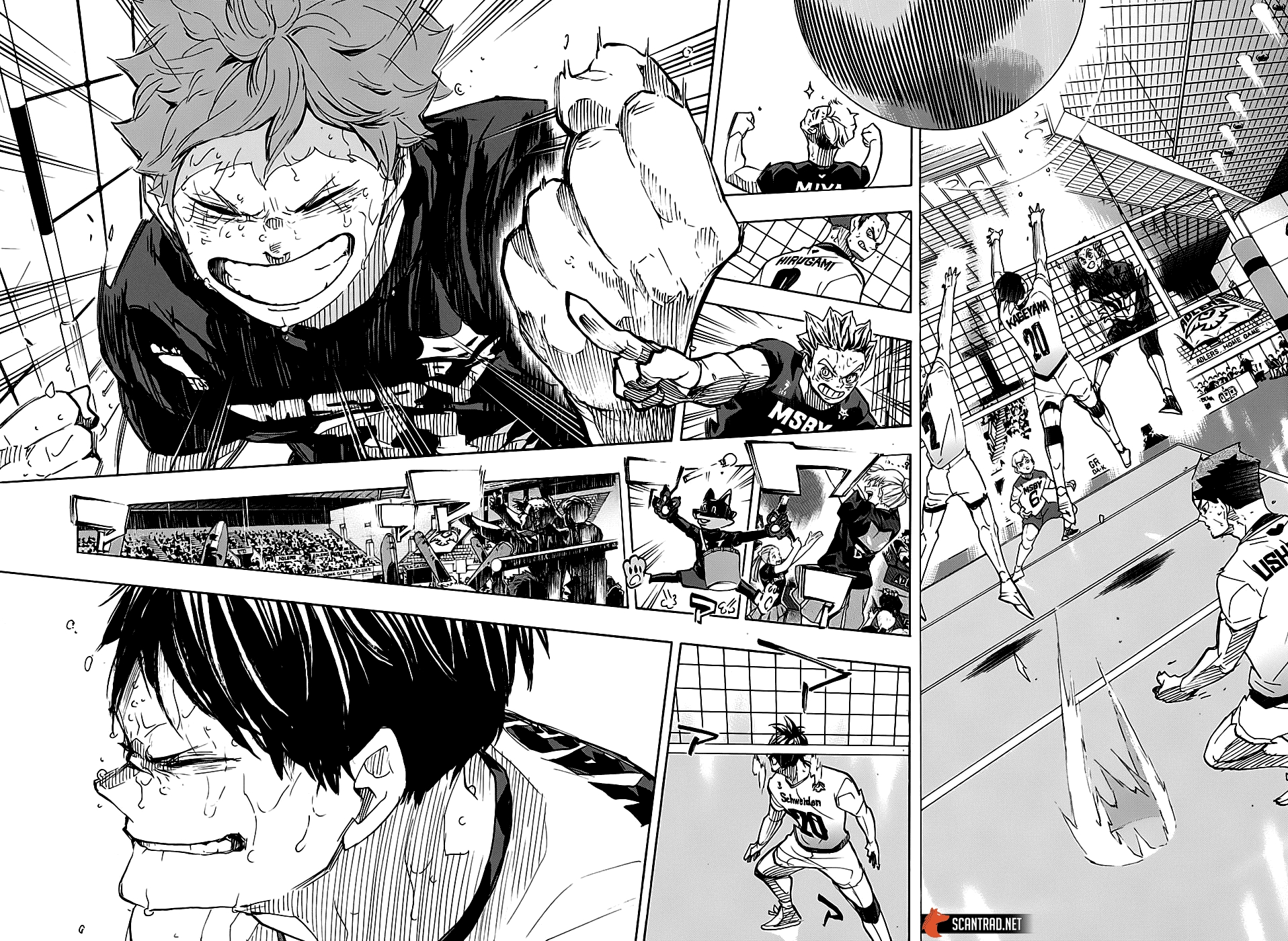 Read Haikyuu (FR) Manga Online
