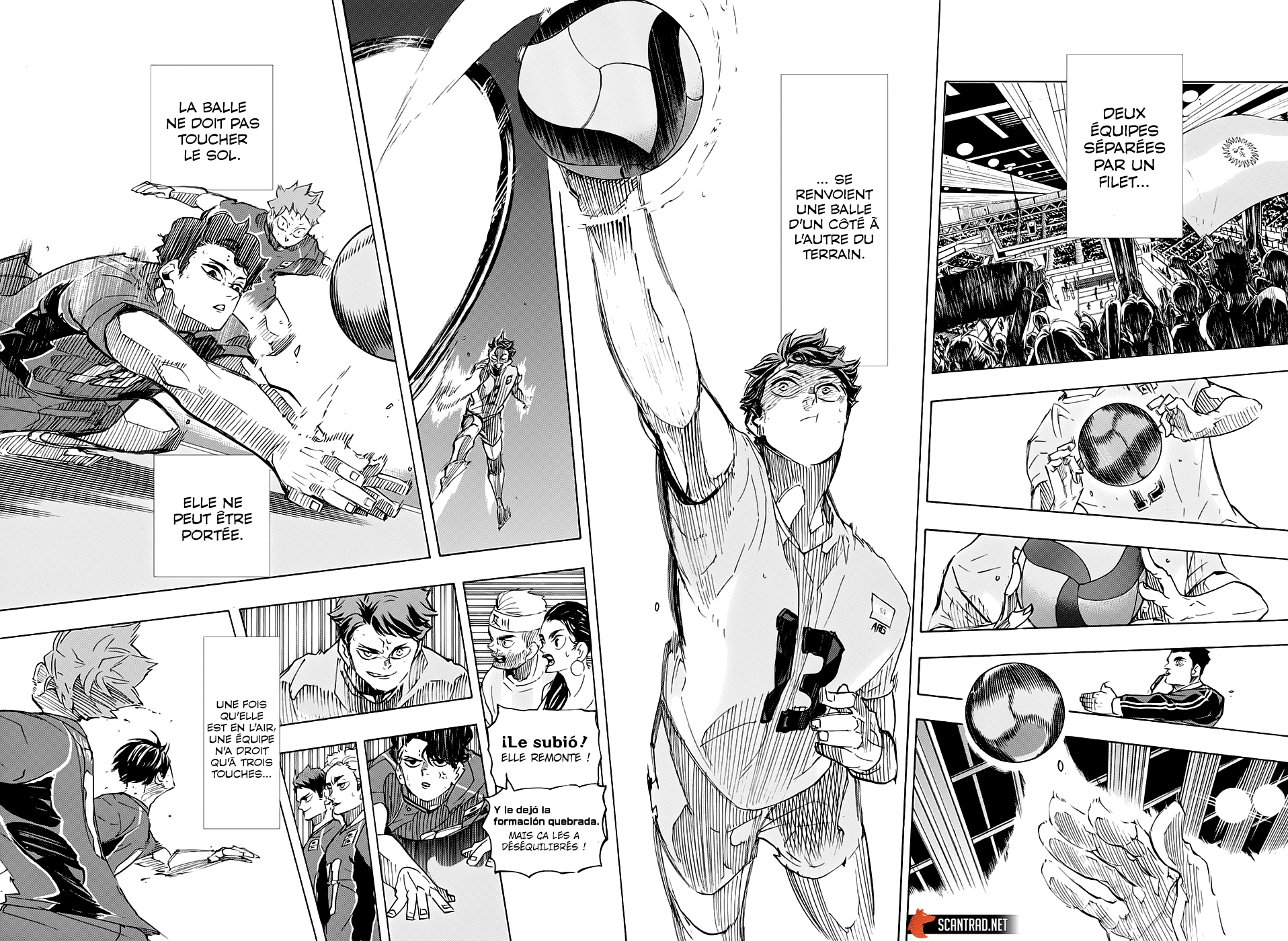 Read Haikyuu (FR) Manga Online