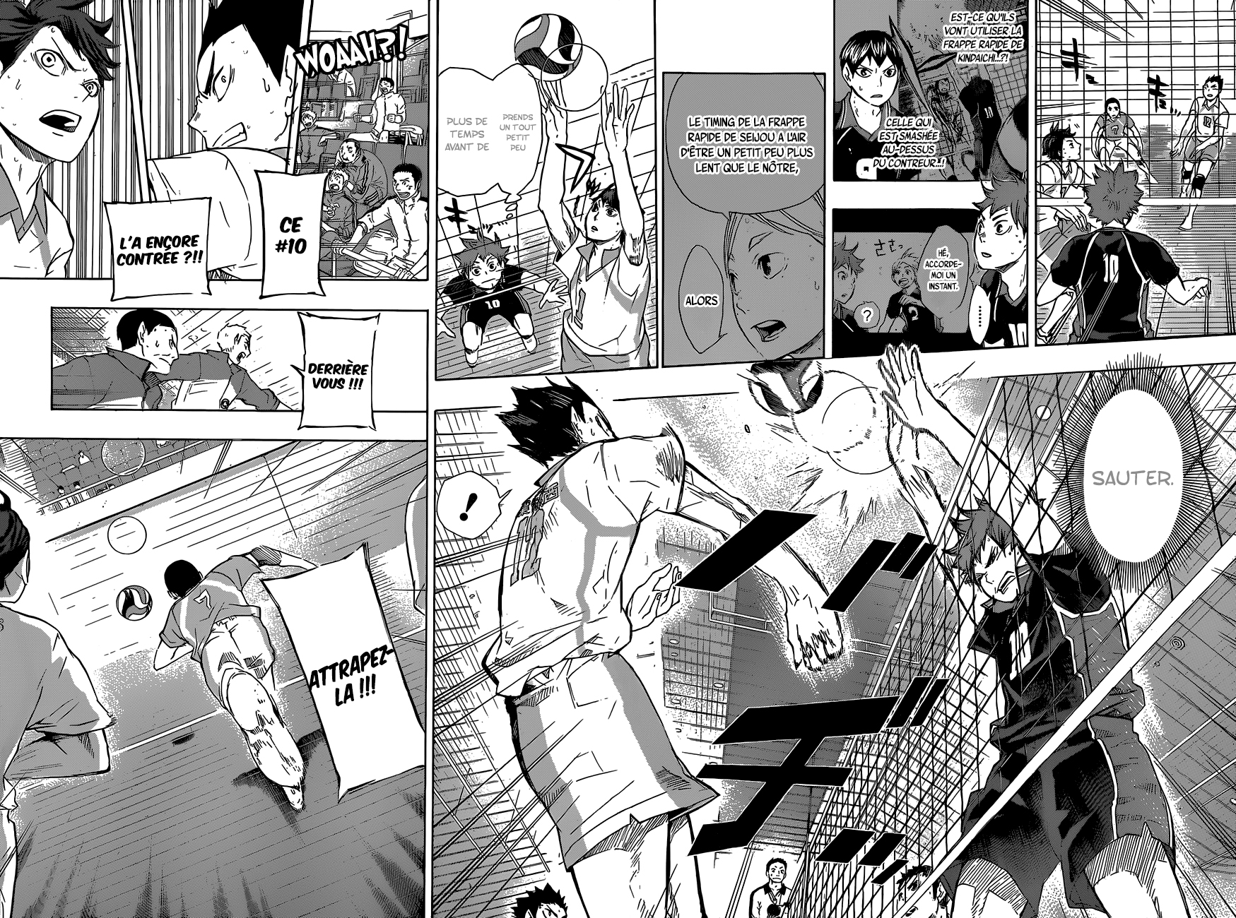 Read Haikyuu (FR) Manga Online