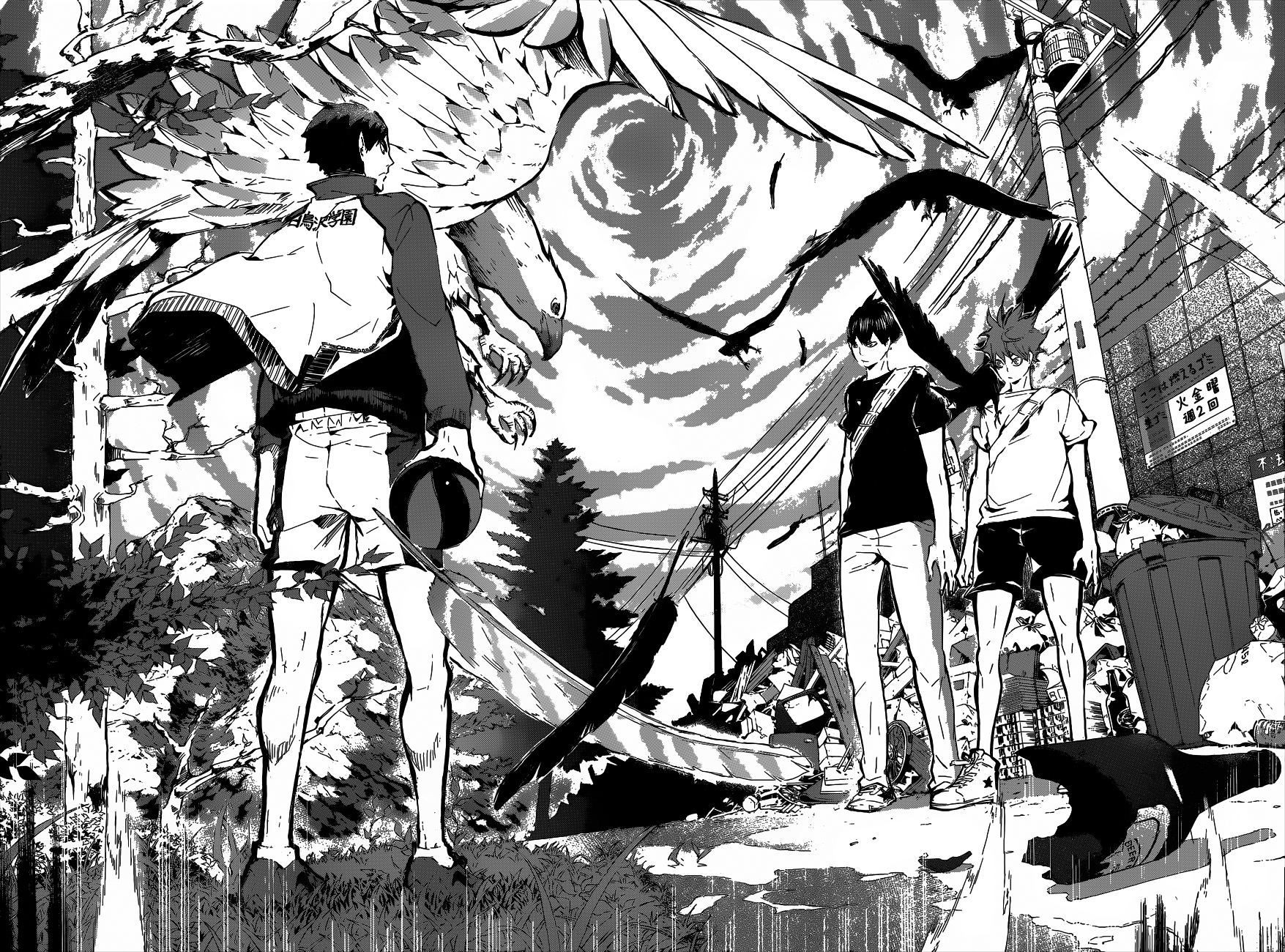 Read Haikyuu (FR) Manga Online