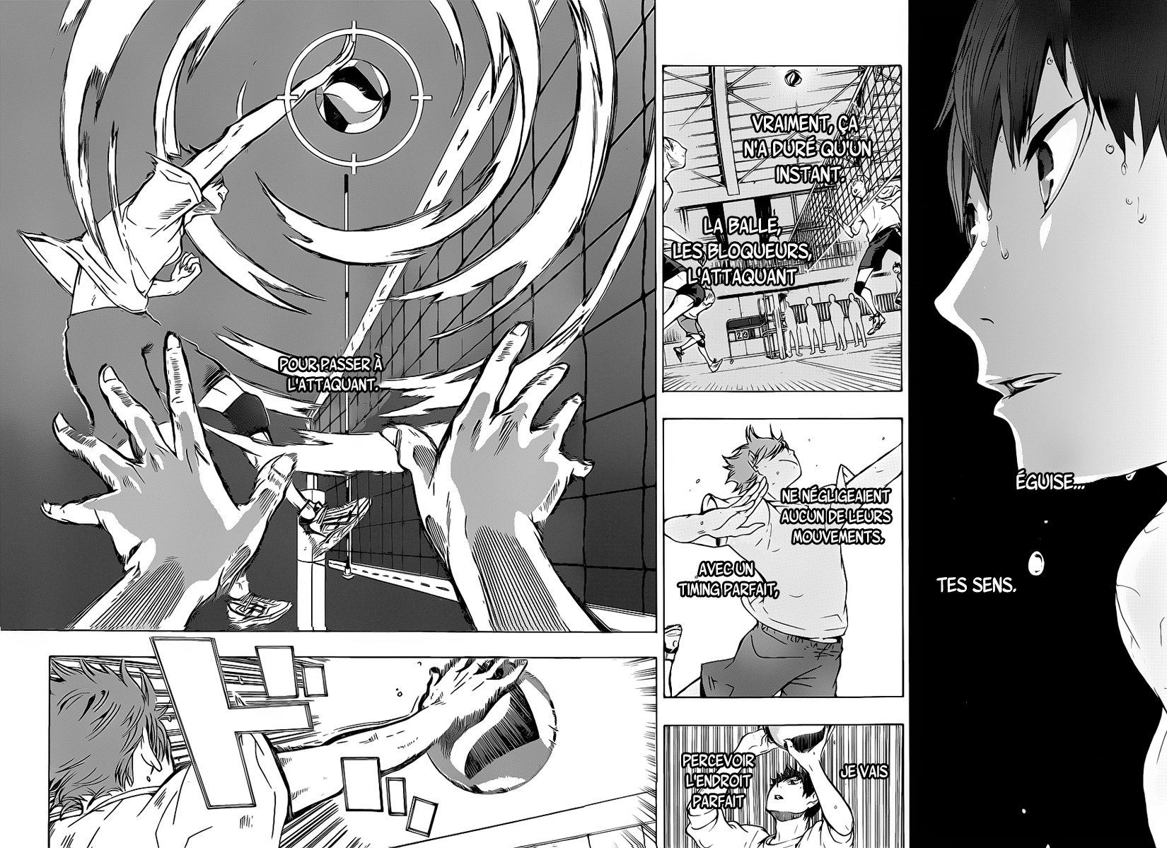 Read Haikyuu (FR) Manga Online
