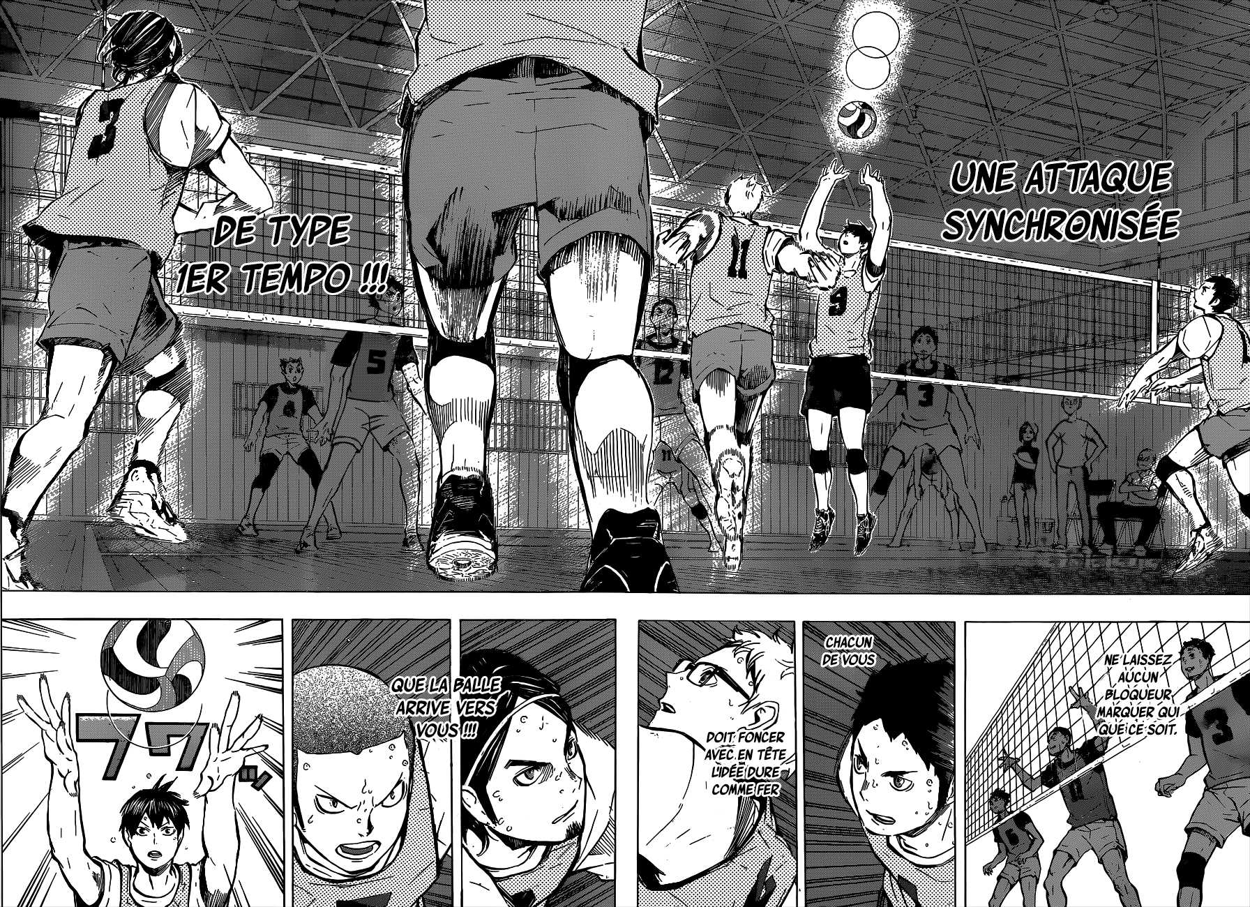 Read Haikyuu (FR) Manga Online