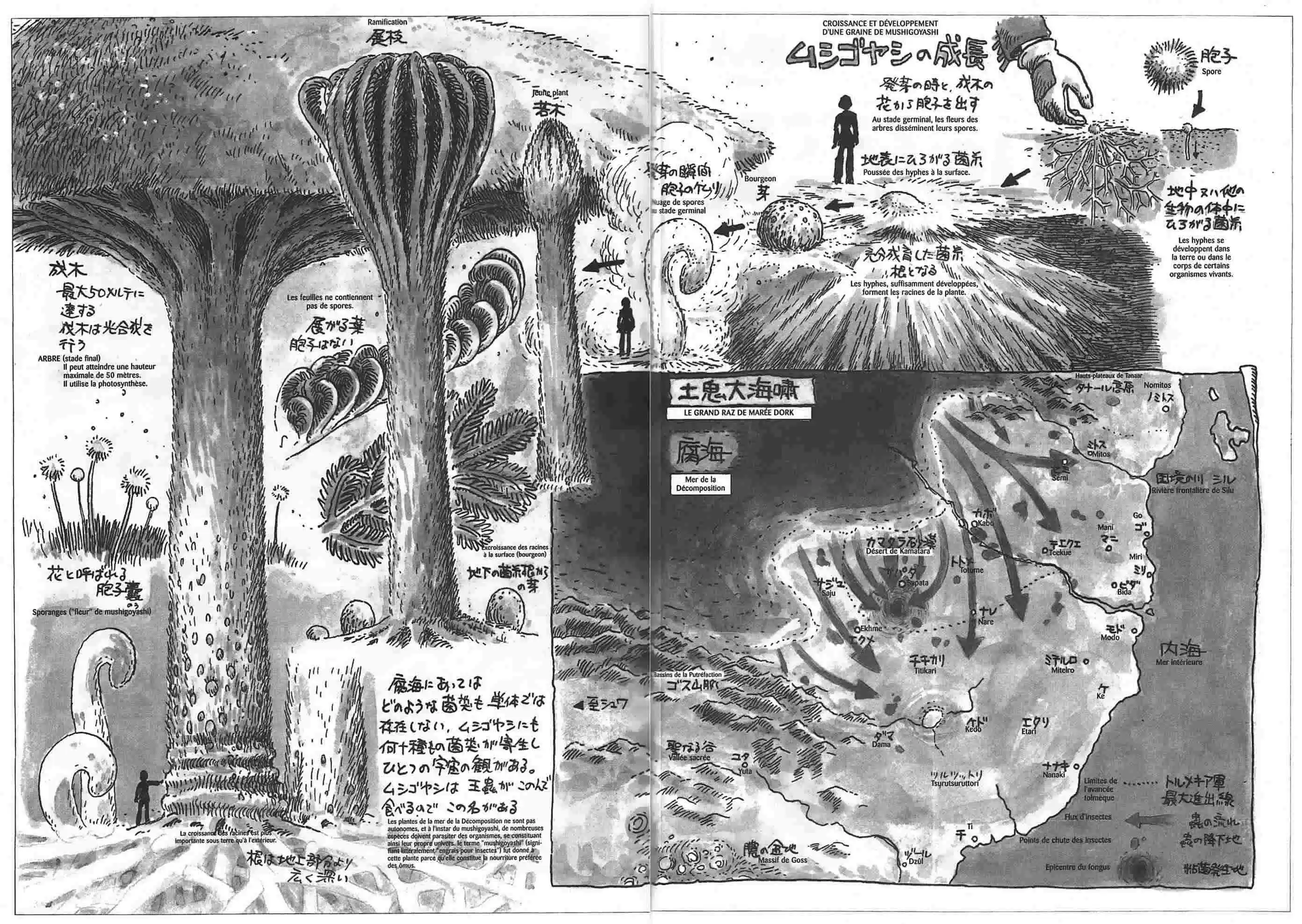 Read Kaze no Tani no Nausicaä (FR) Manga Online