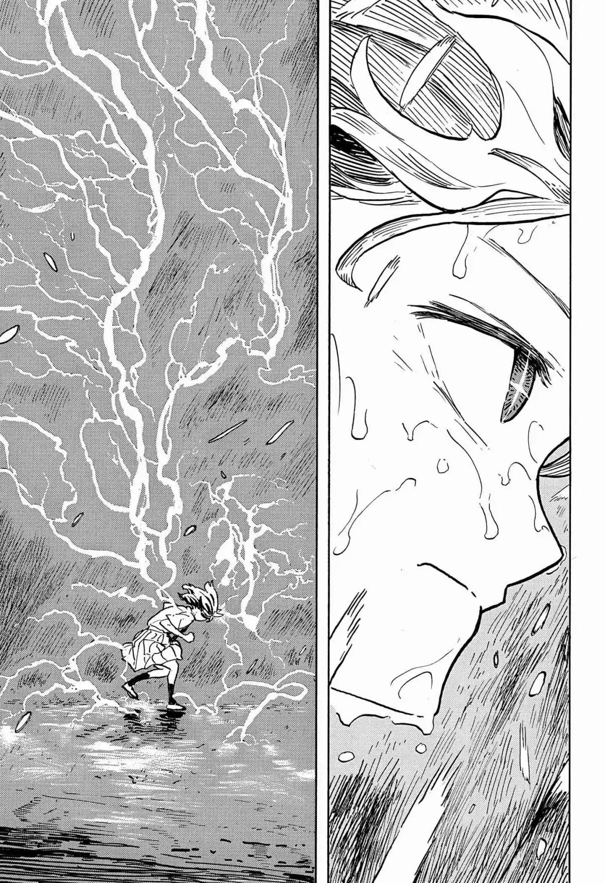 Read Ruri Dragon FR Manga Online