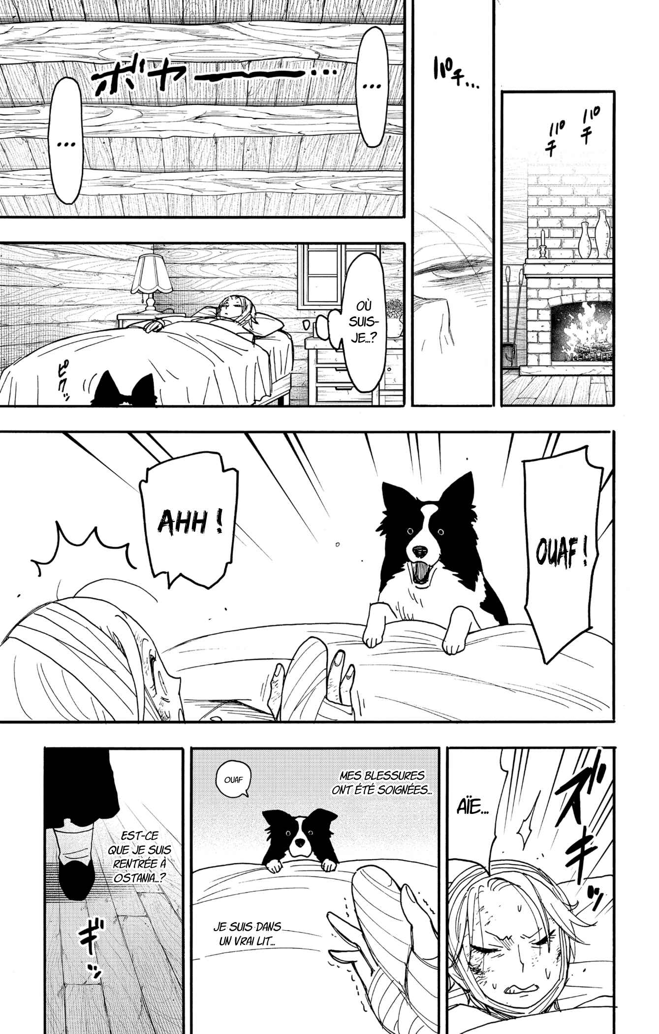 Read Spy X FamilyFR Manga Online