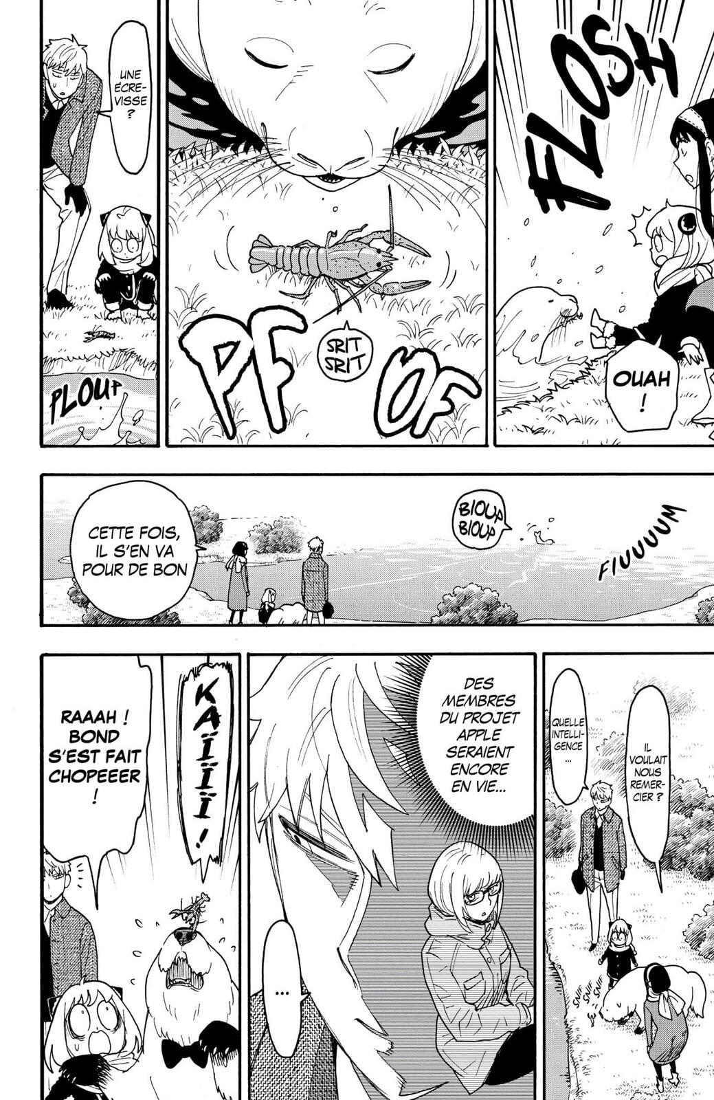 Read Spy X FamilyFR Manga Online