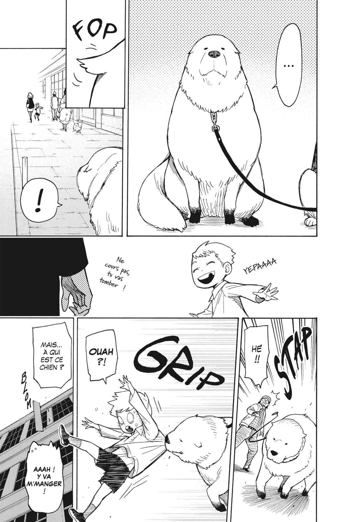 Read Spy X FamilyFR Manga Online