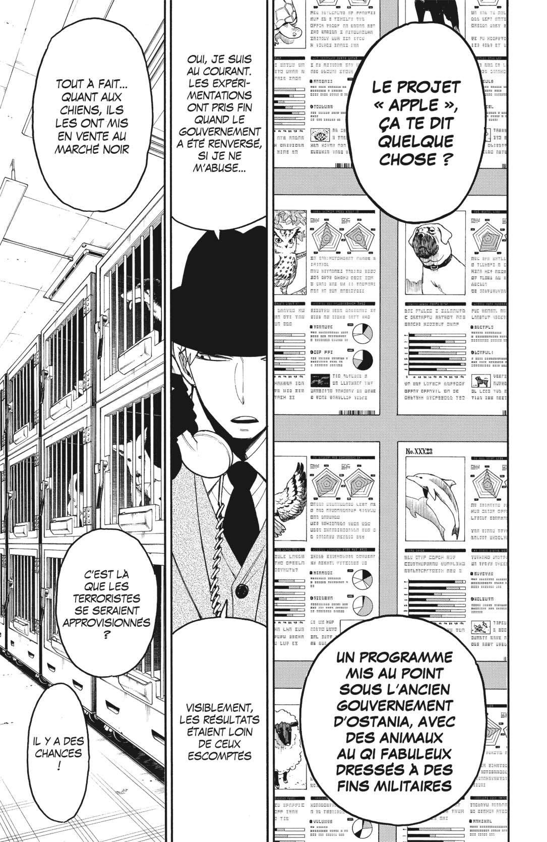Read Spy X FamilyFR Manga Online
