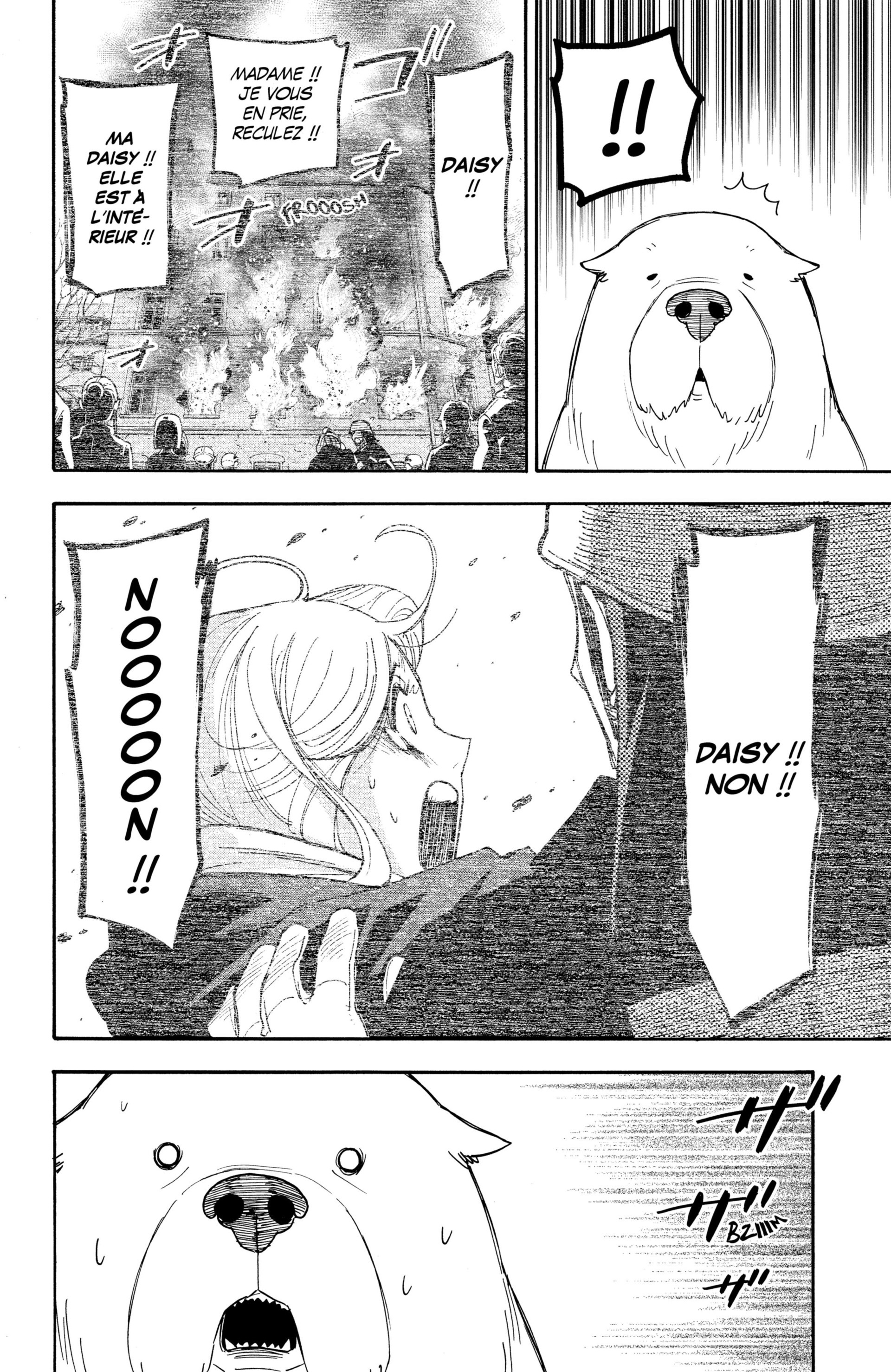 Read Spy X FamilyFR Manga Online