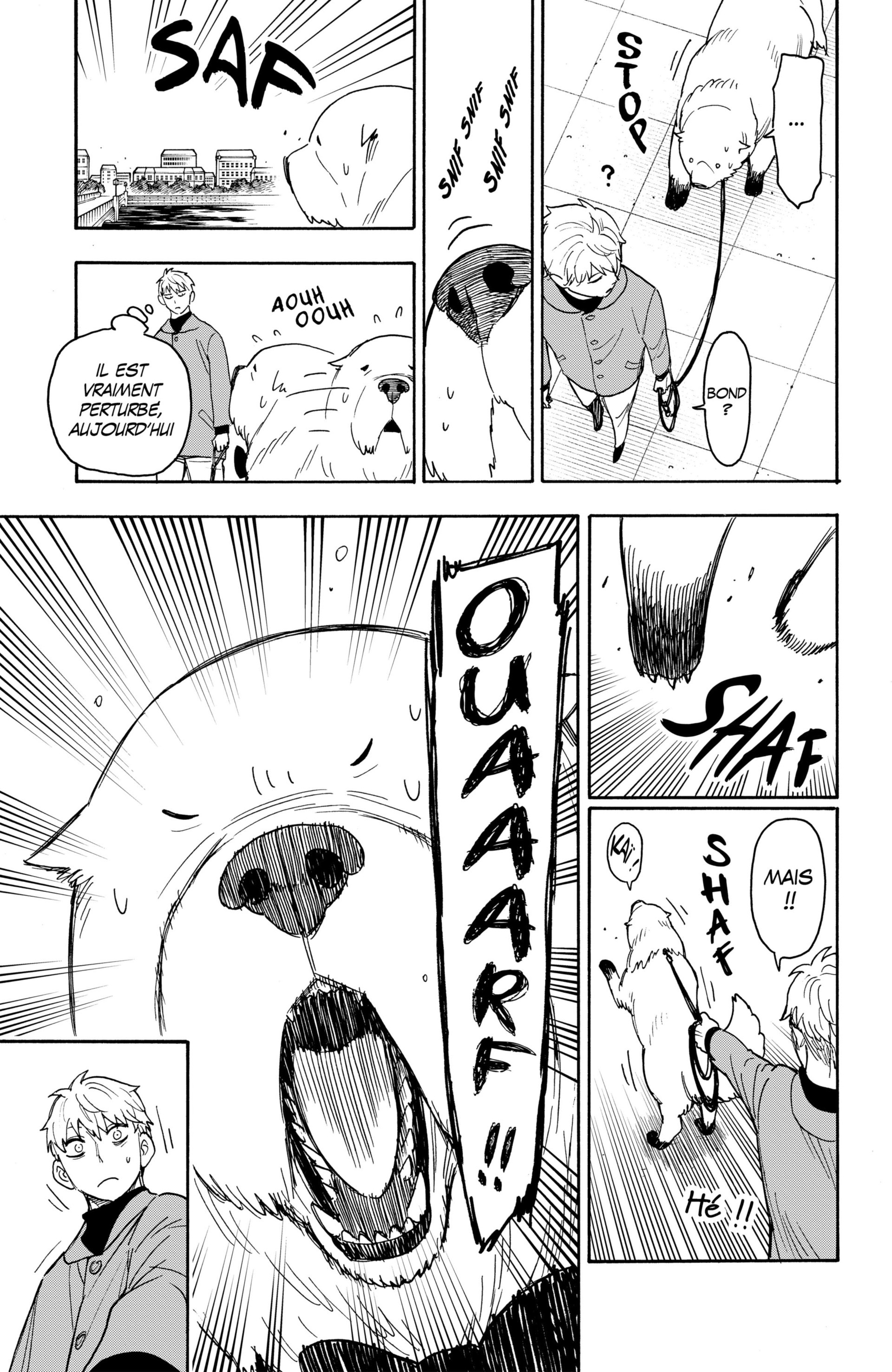 Read Spy X FamilyFR Manga Online
