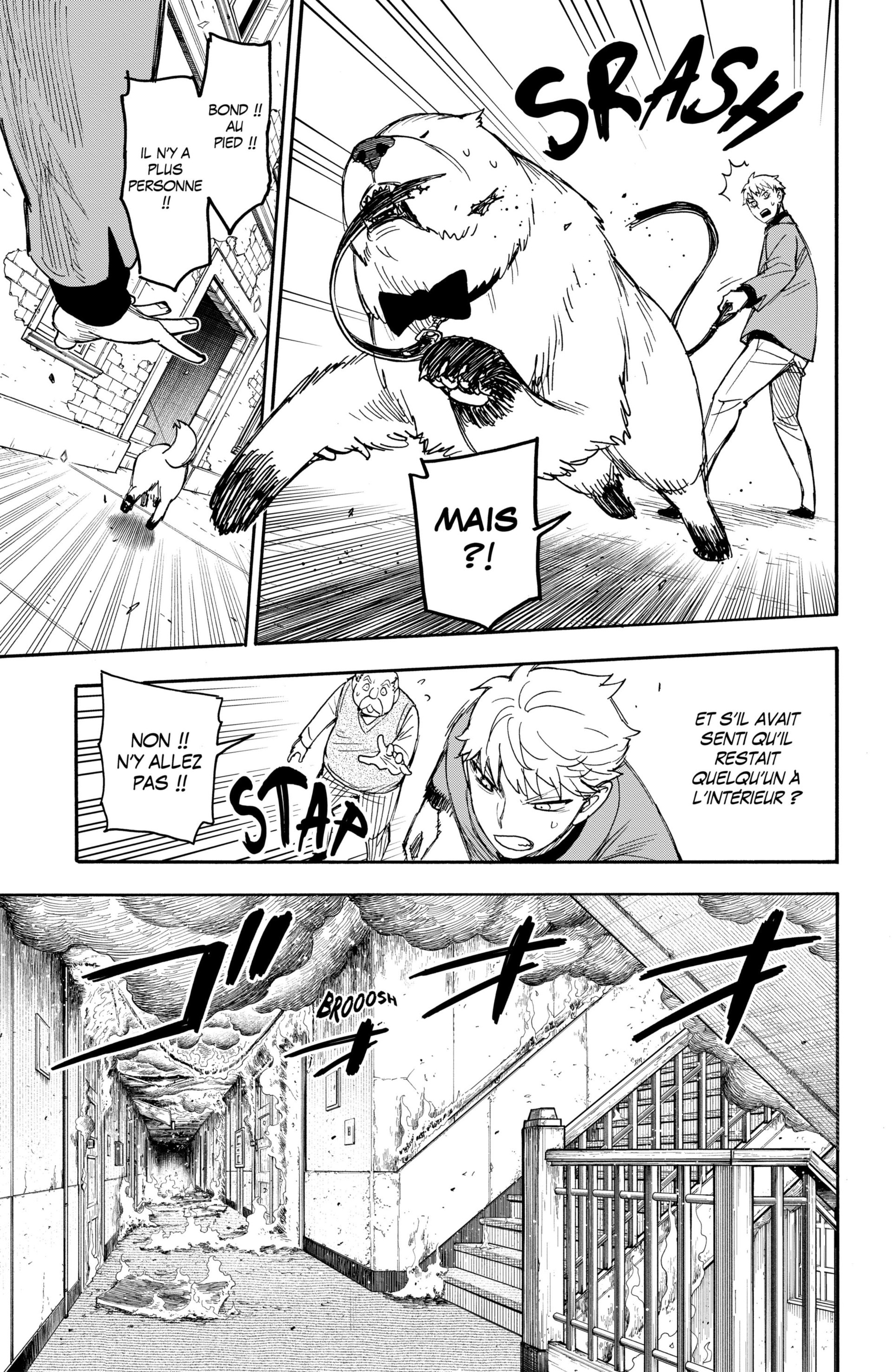 Read Spy X FamilyFR Manga Online