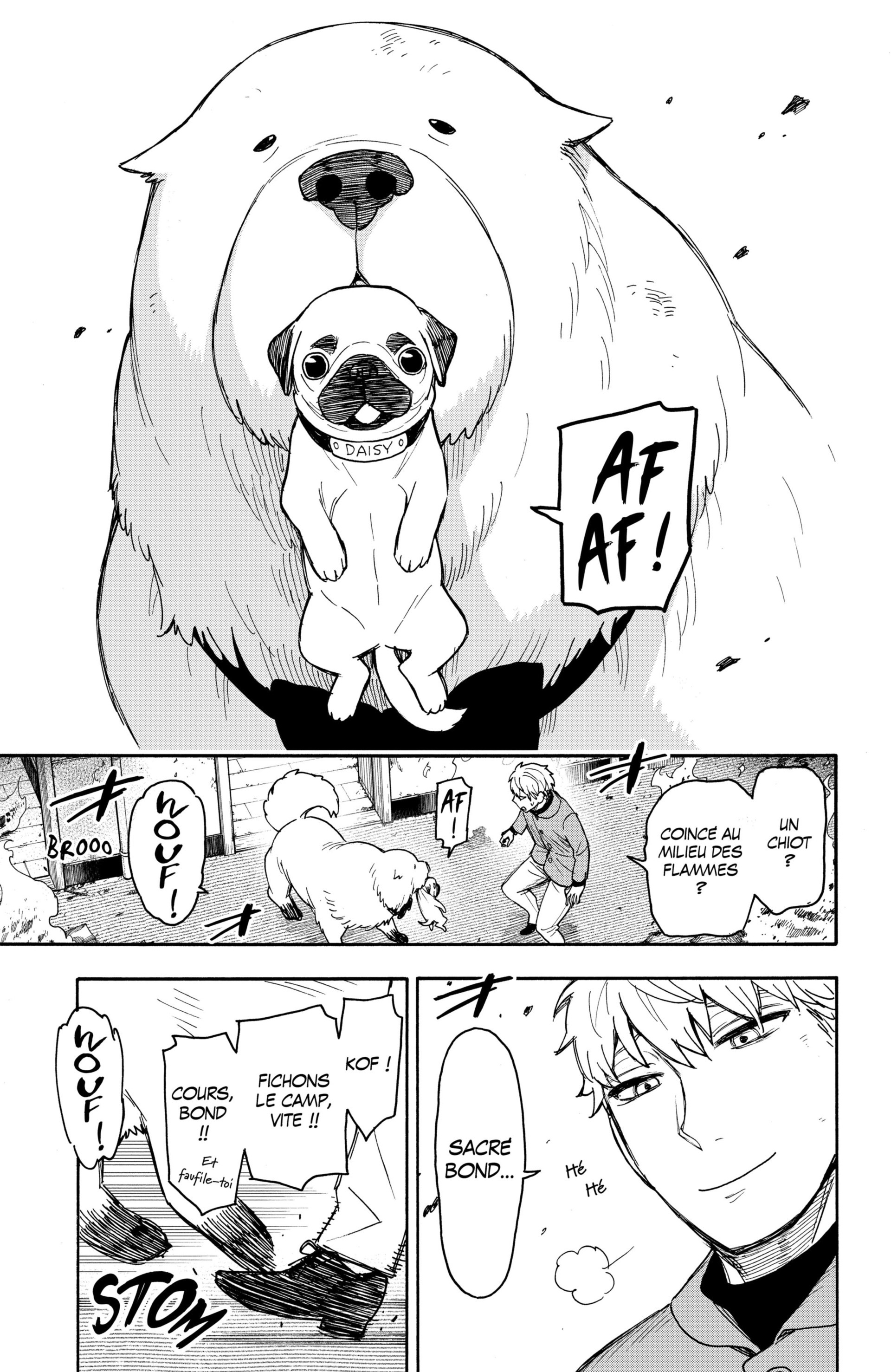 Read Spy X FamilyFR Manga Online