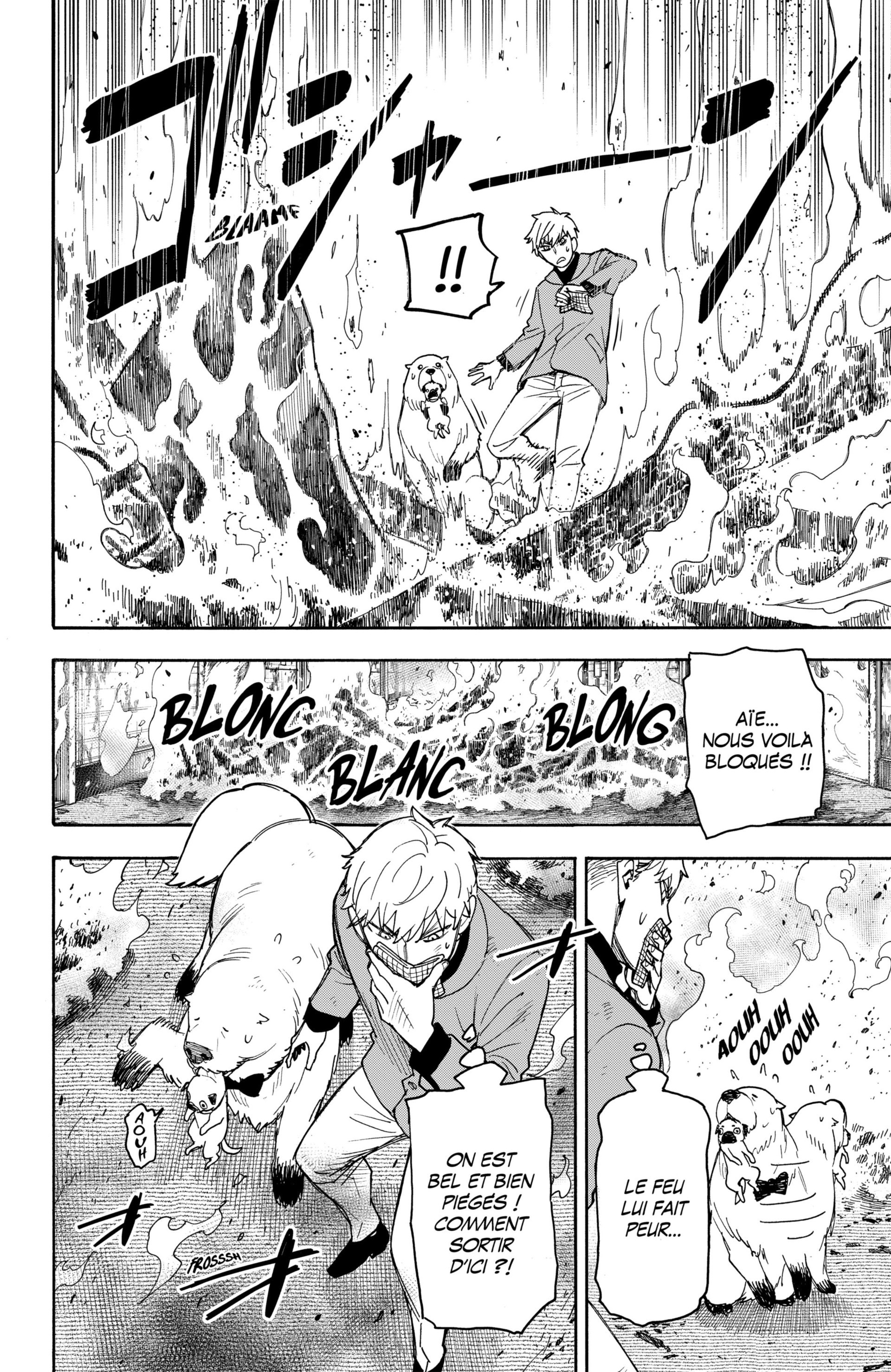 Read Spy X FamilyFR Manga Online