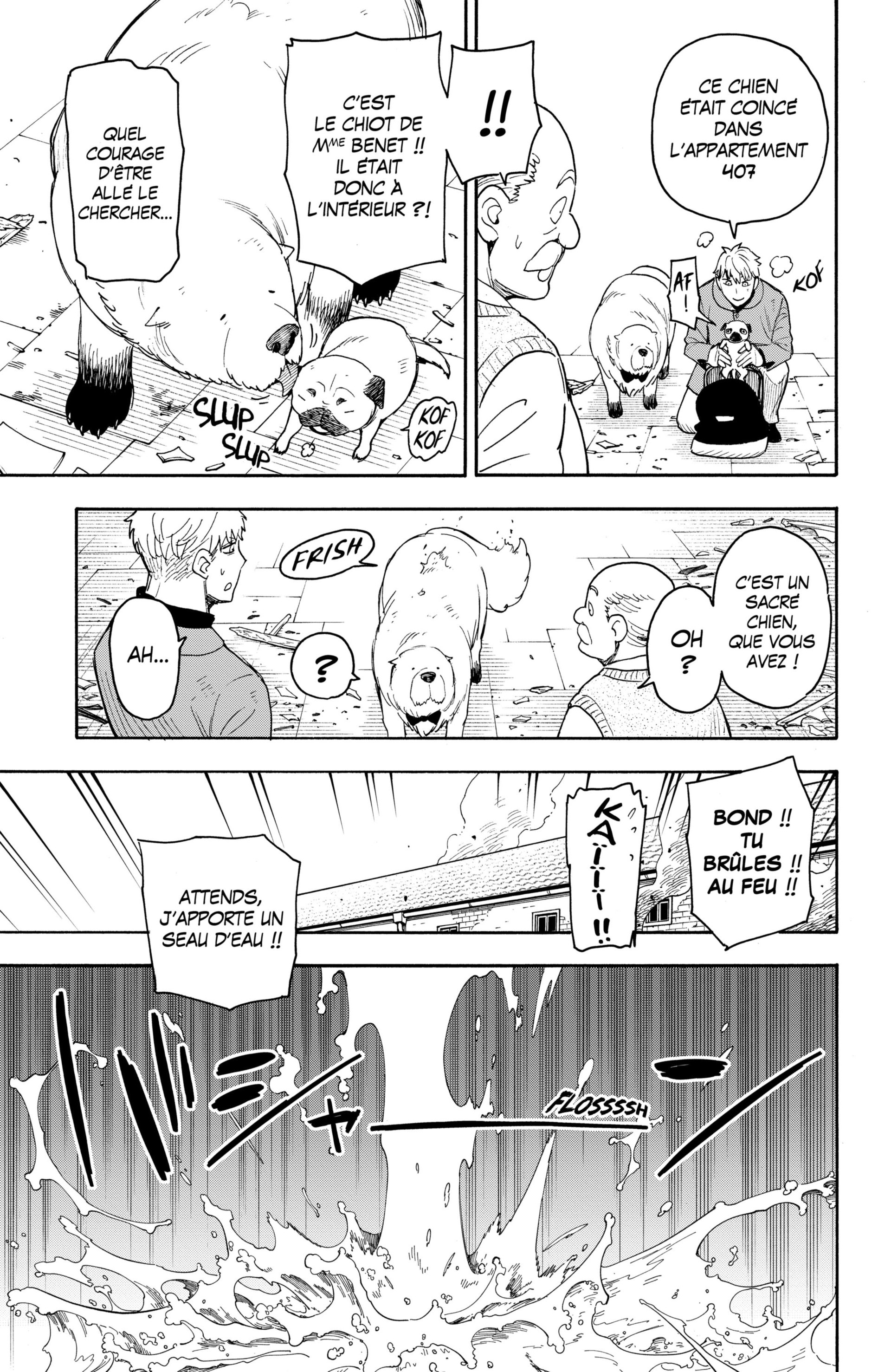 Read Spy X FamilyFR Manga Online