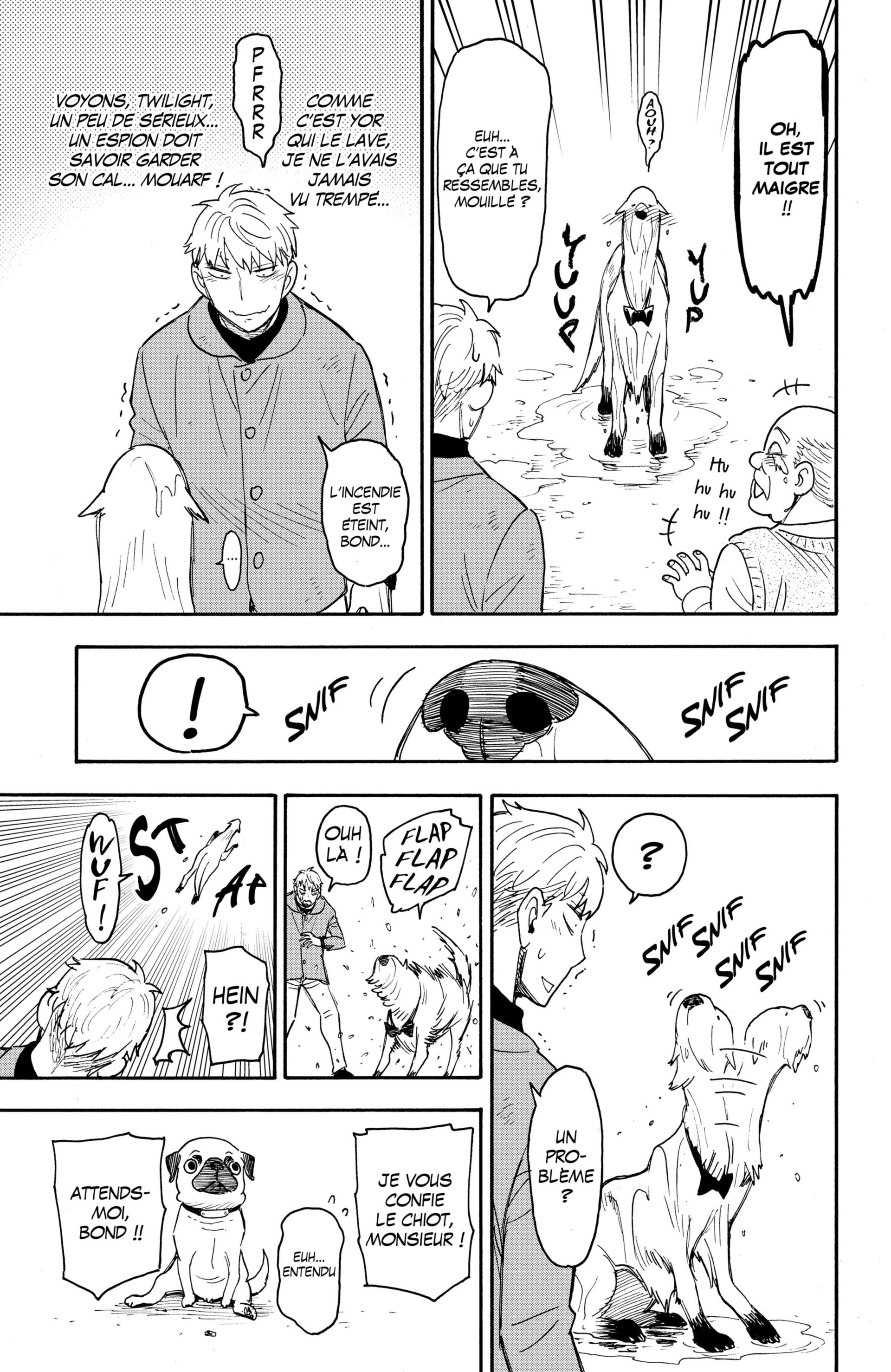 Read Spy X FamilyFR Manga Online
