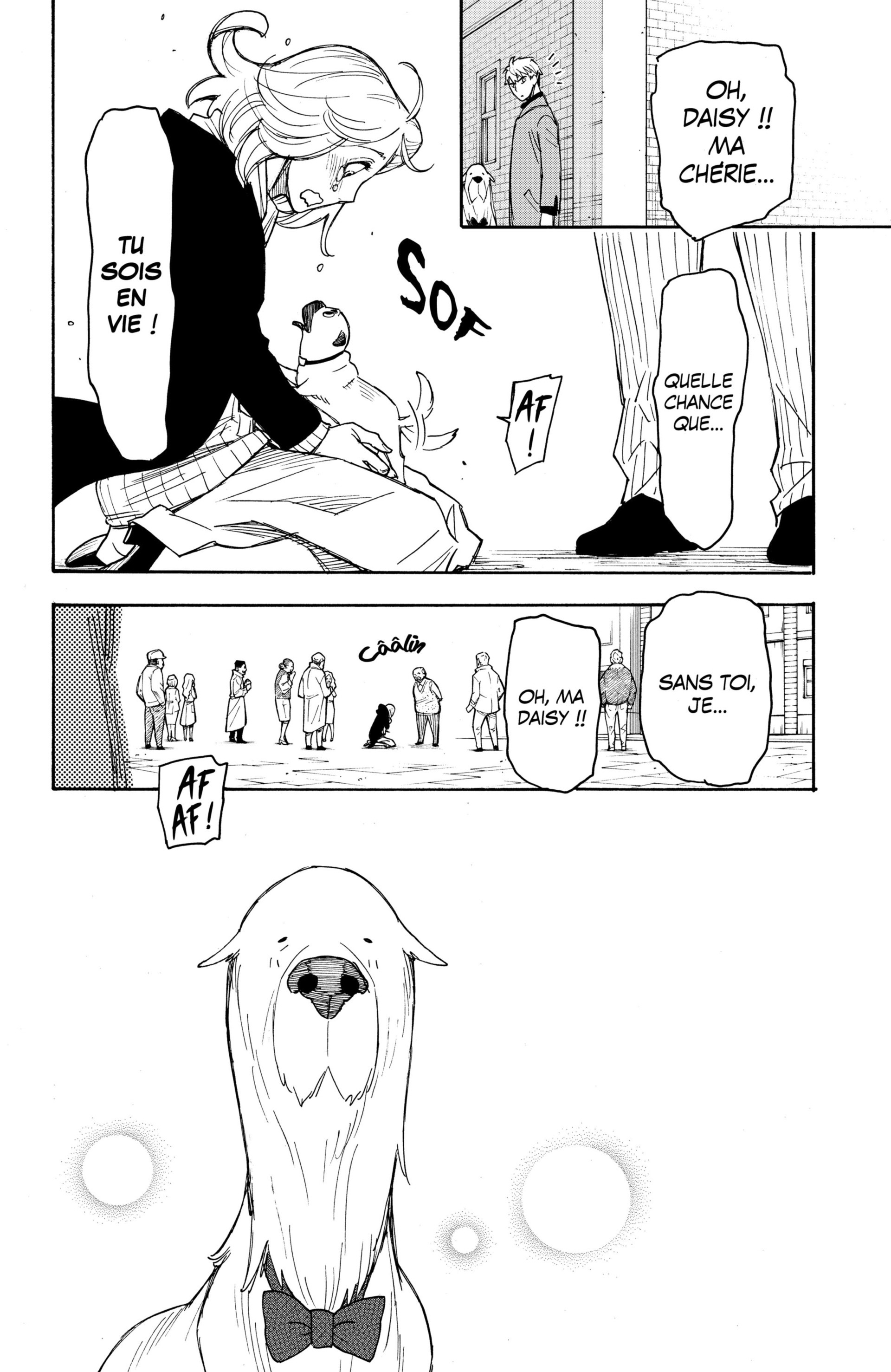 Read Spy X FamilyFR Manga Online